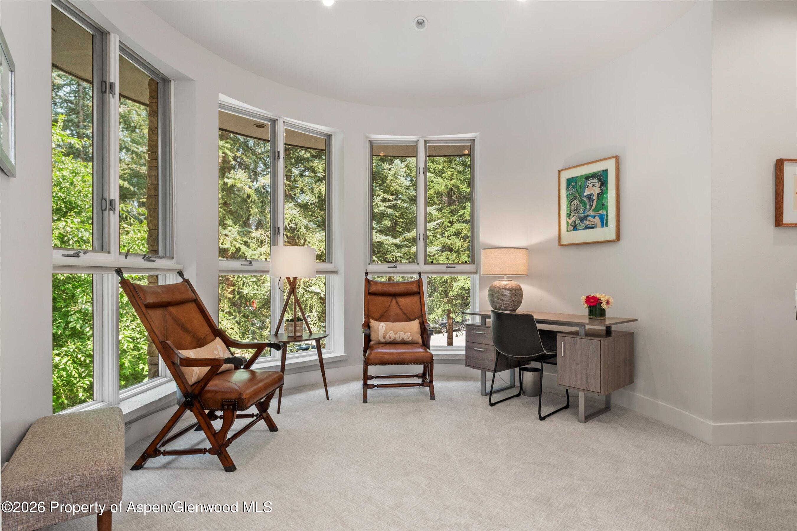 736 W Smuggler Street Aspen CO 81611