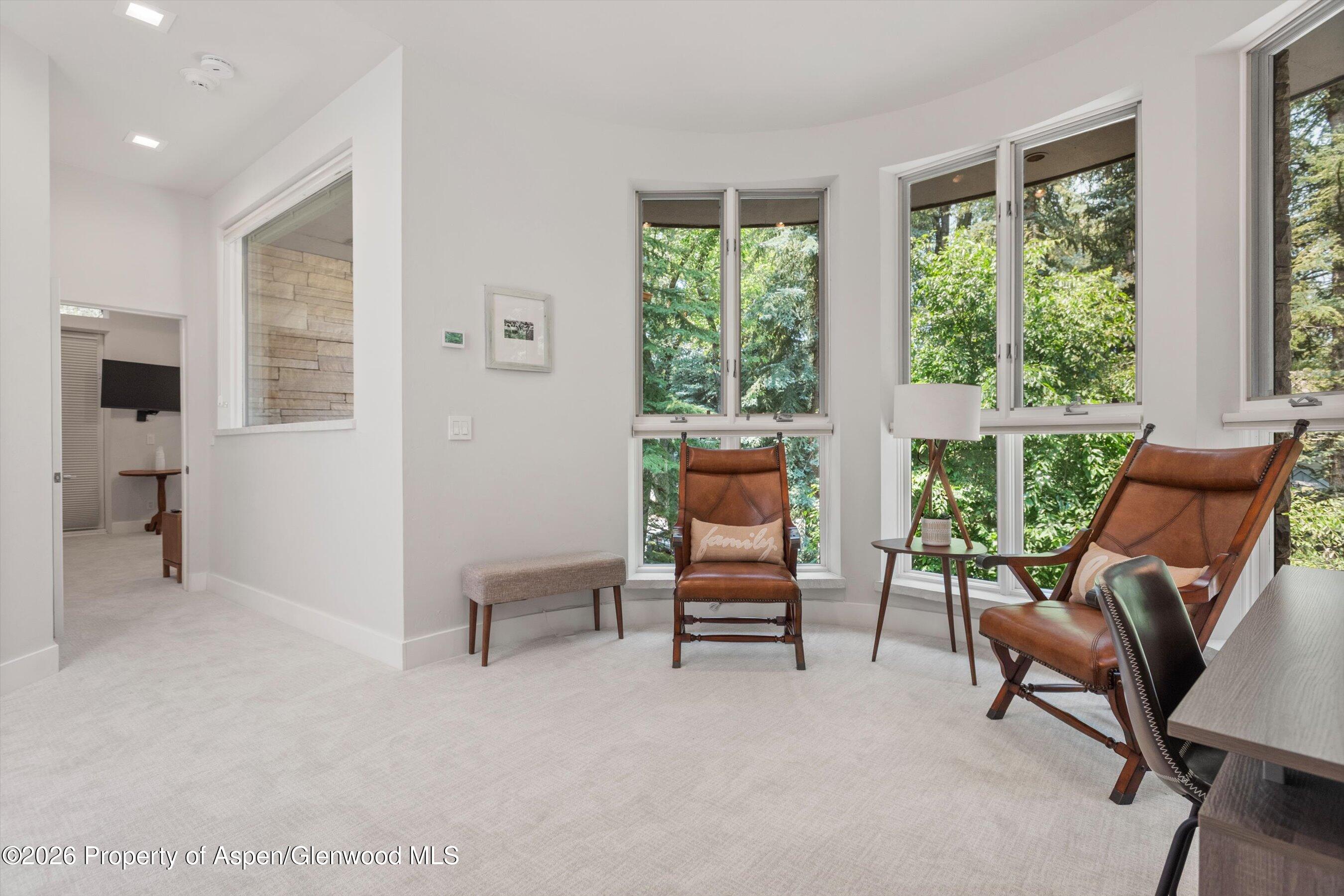 736 W Smuggler Street Aspen CO 81611