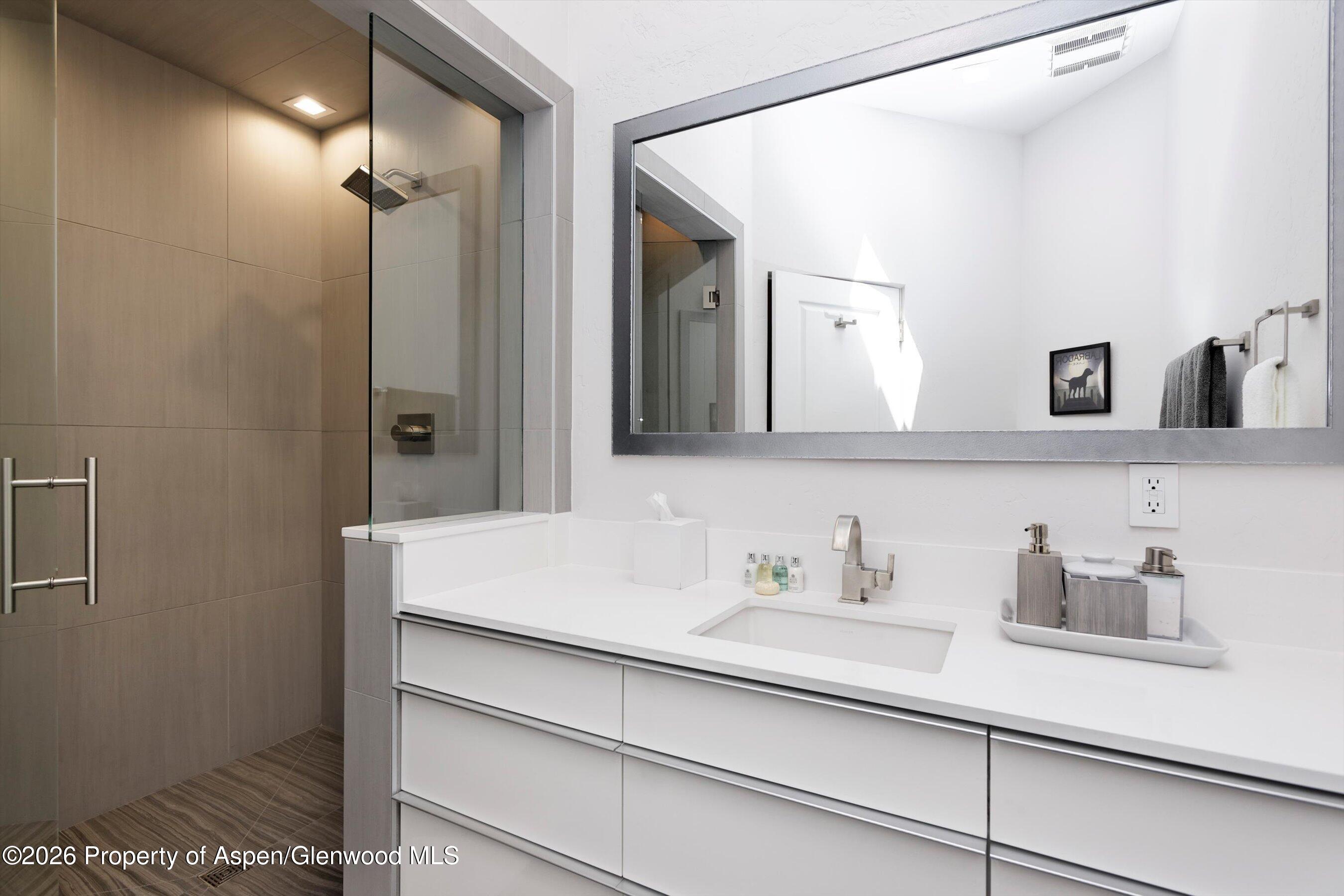 736 W Smuggler Street Aspen CO 81611