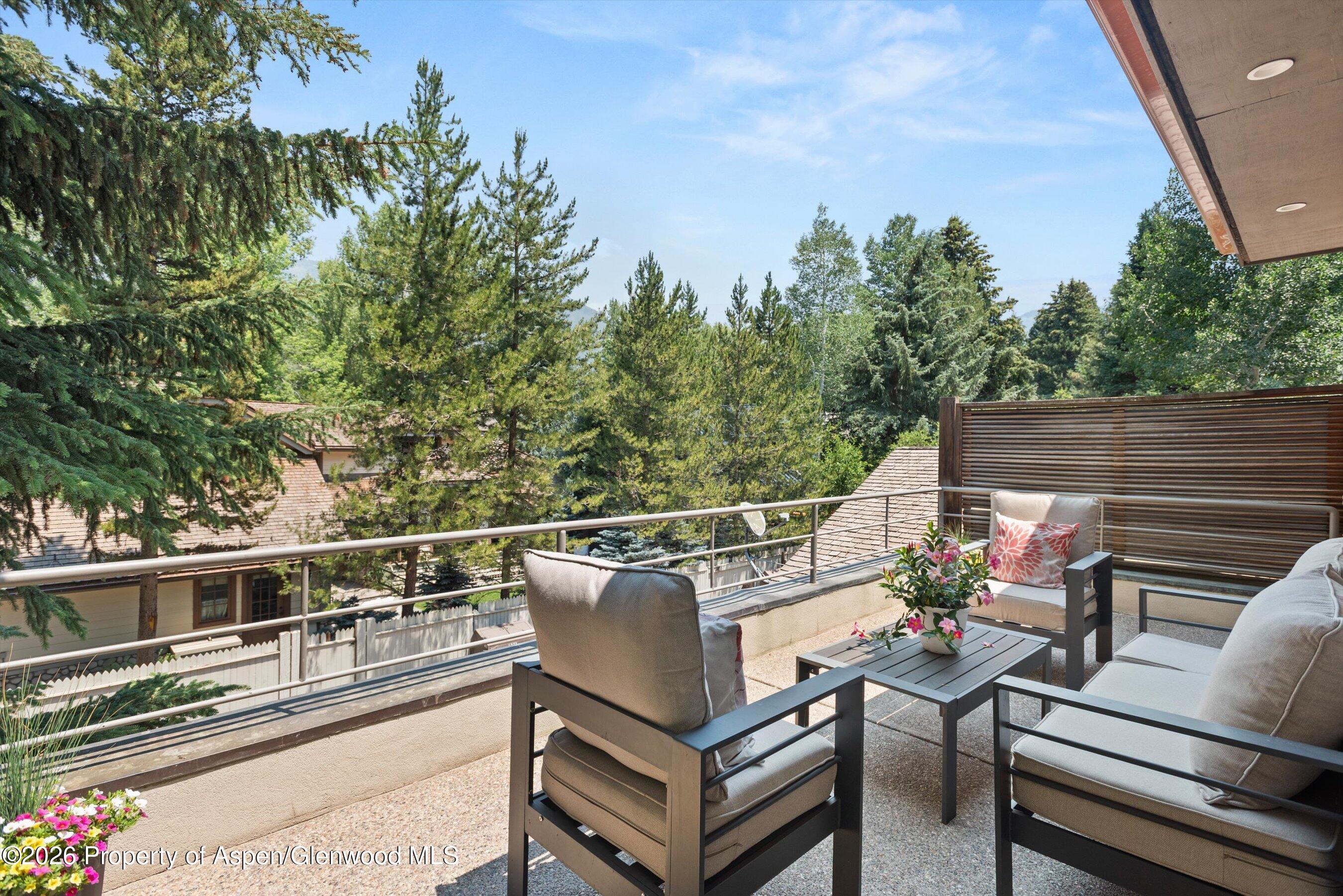 736 W Smuggler Street Aspen CO 81611