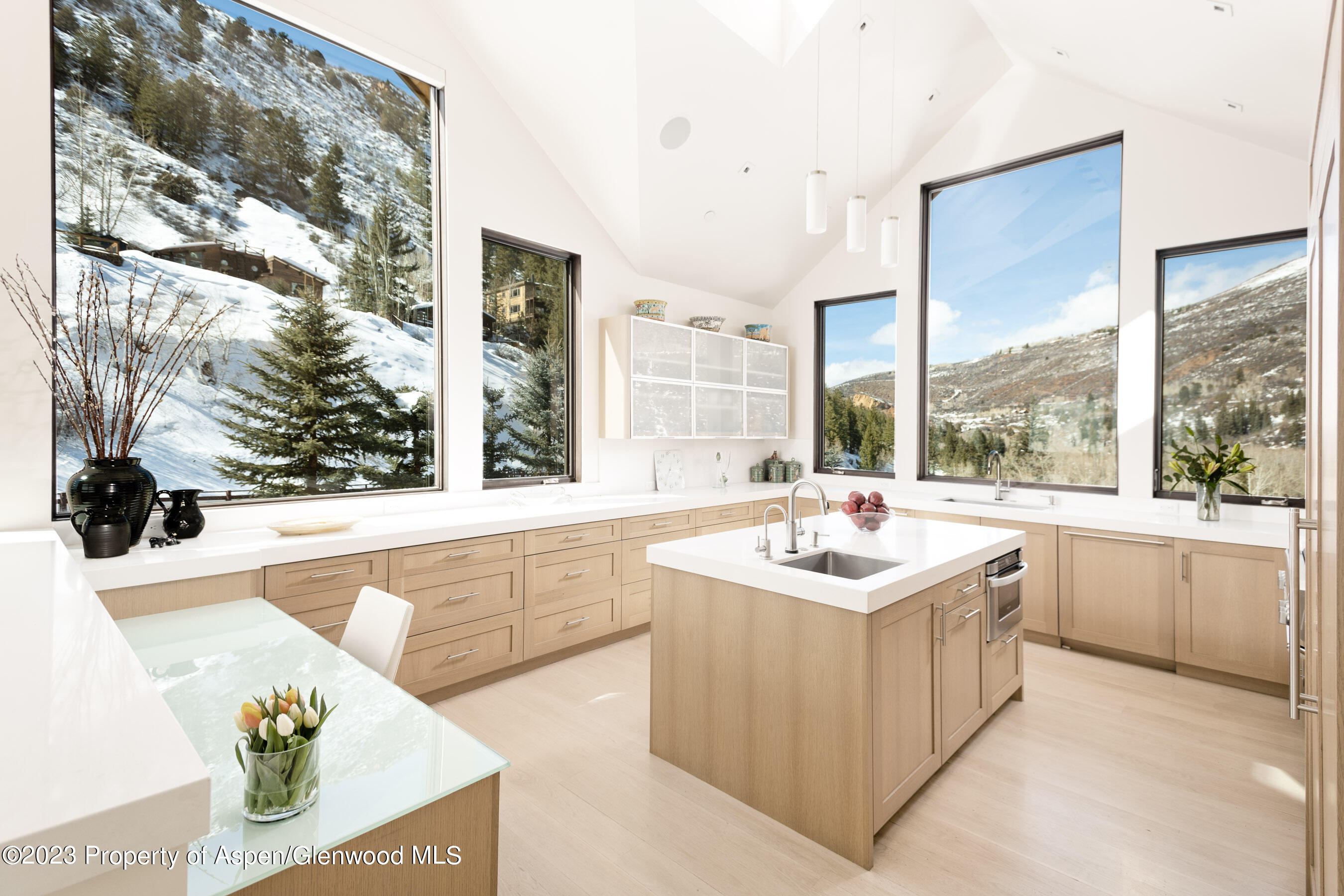 1152 Cemetery Lane Aspen CO 81611