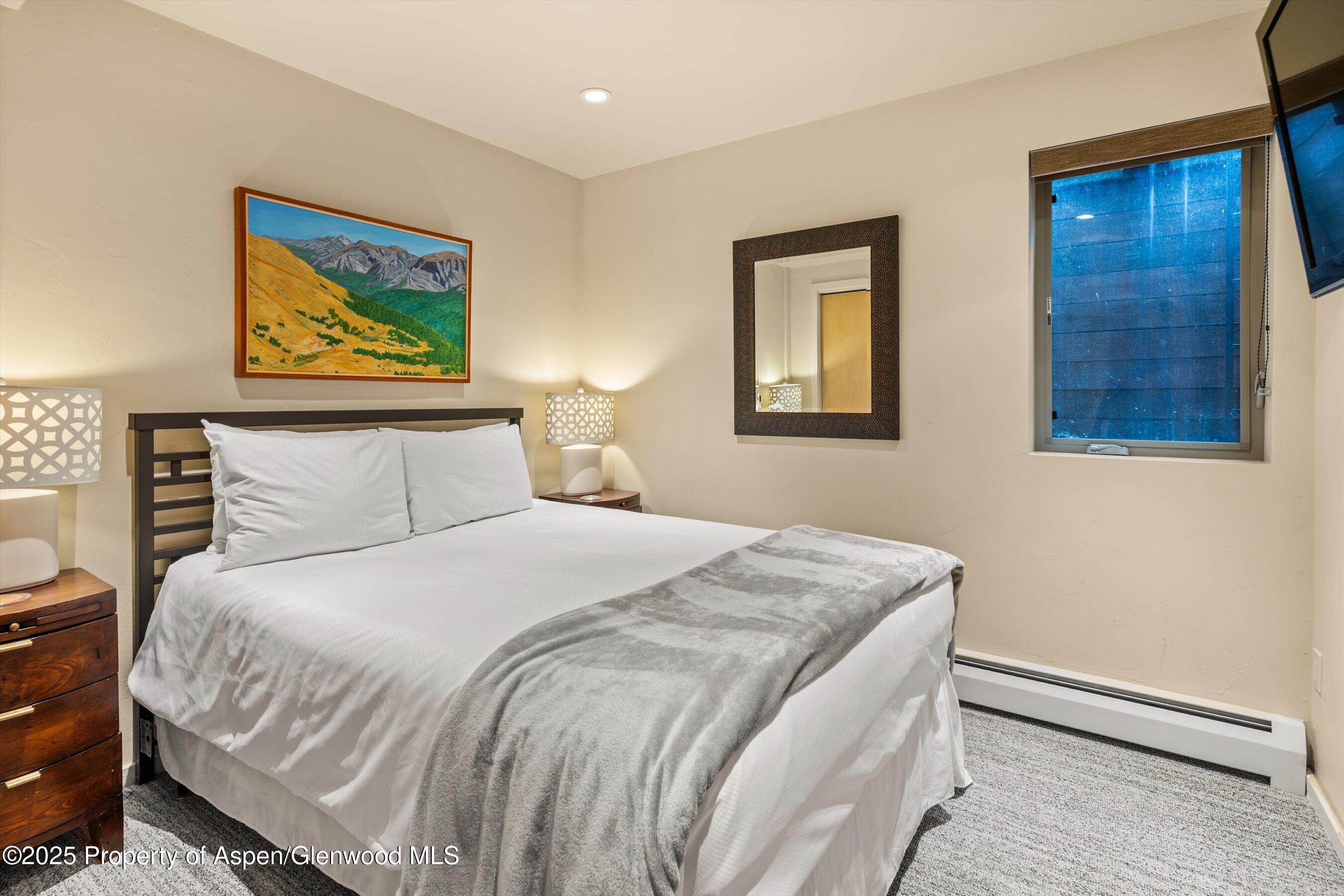 322 Park Avenue Aspen CO 81611