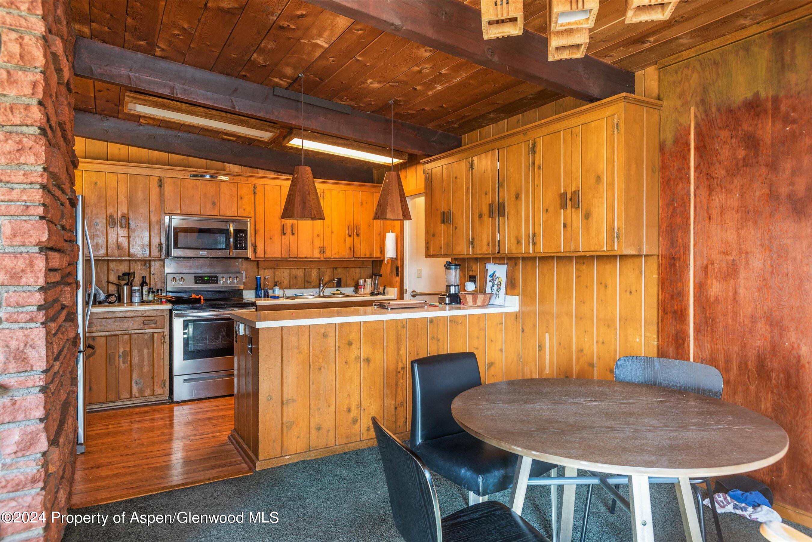 1227 Mountain View Drive Aspen CO 81611