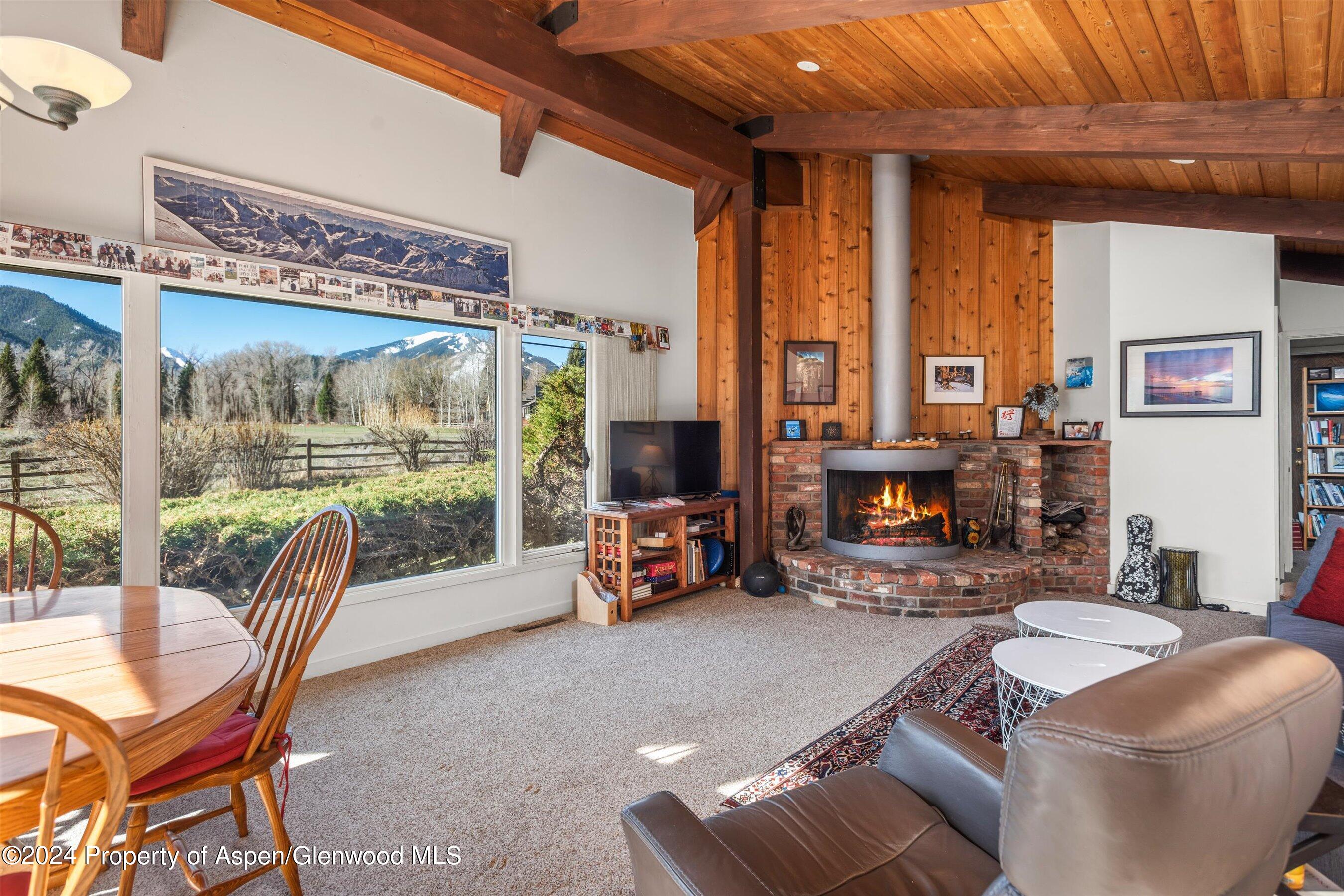 1227 Mountain View Drive Aspen CO 81611