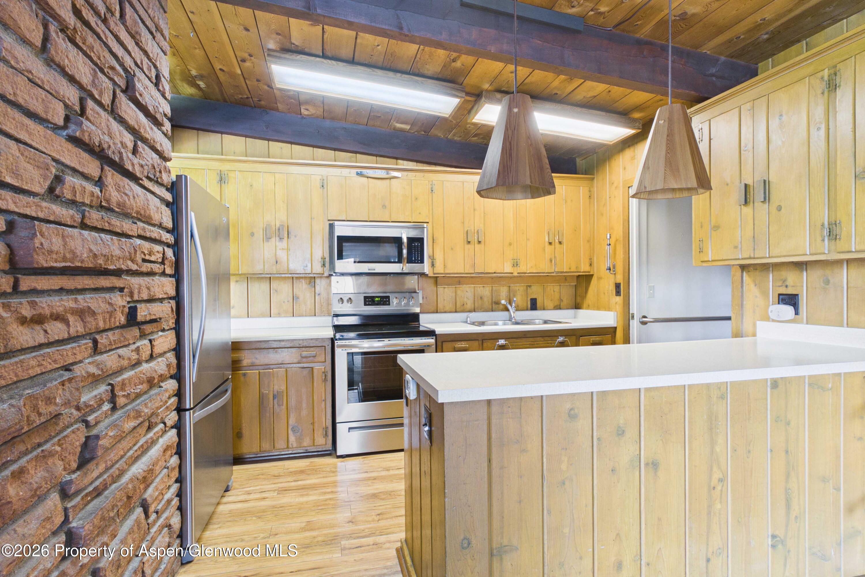 1227 Mountain View Drive Aspen CO 81611
