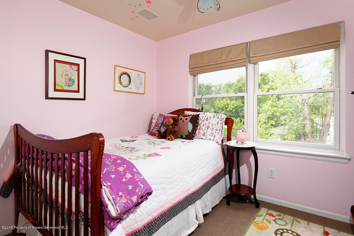 995 Painted Lady Lane Carbondale CO 81623
