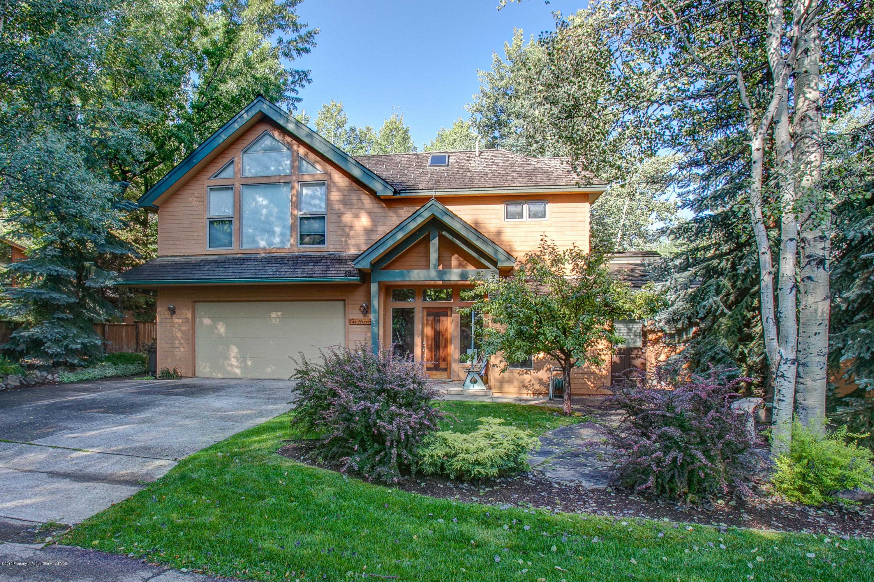 725 Castle Creek Aspen CO 81611