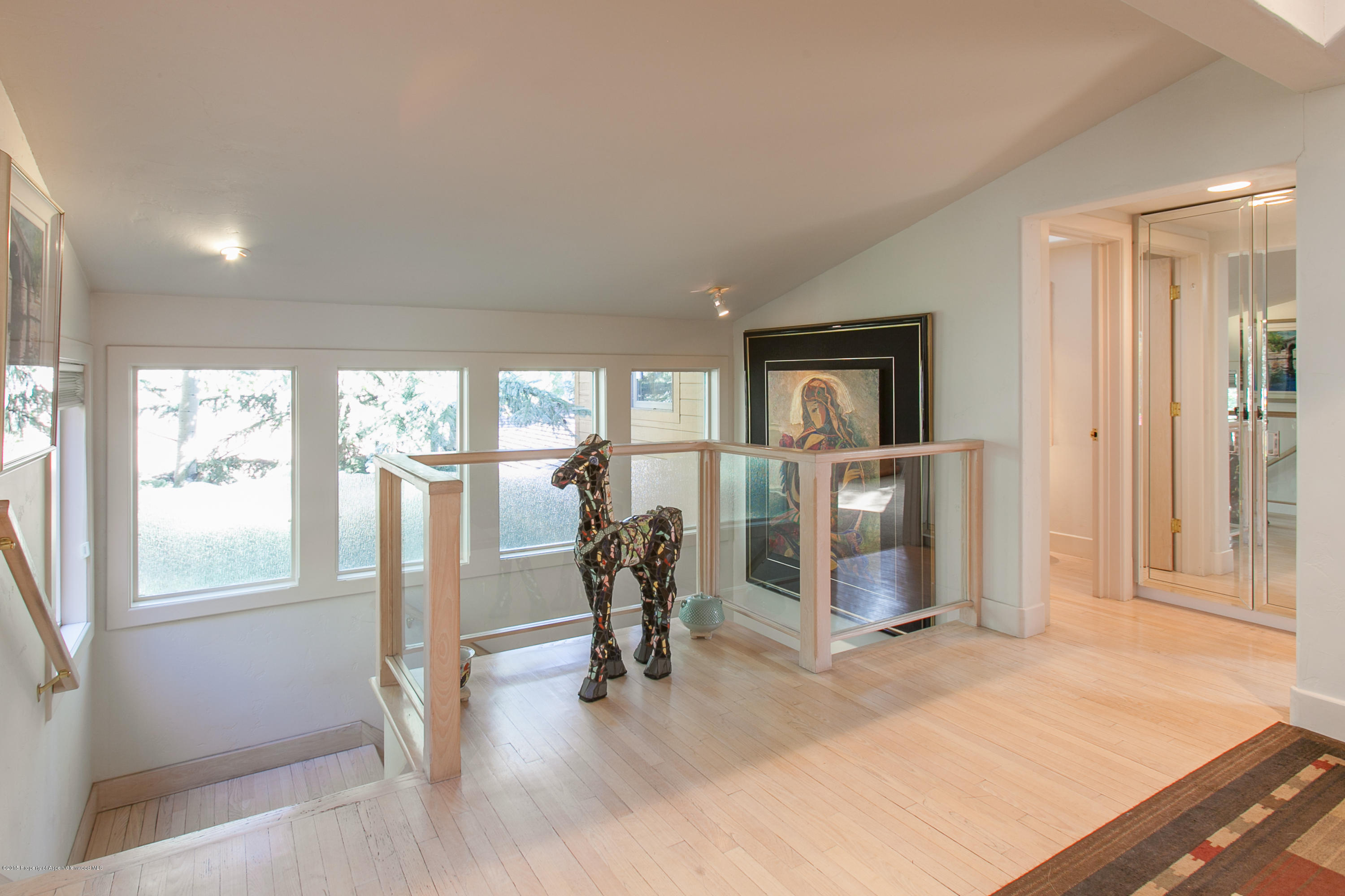 725 Castle Creek Aspen CO 81611
