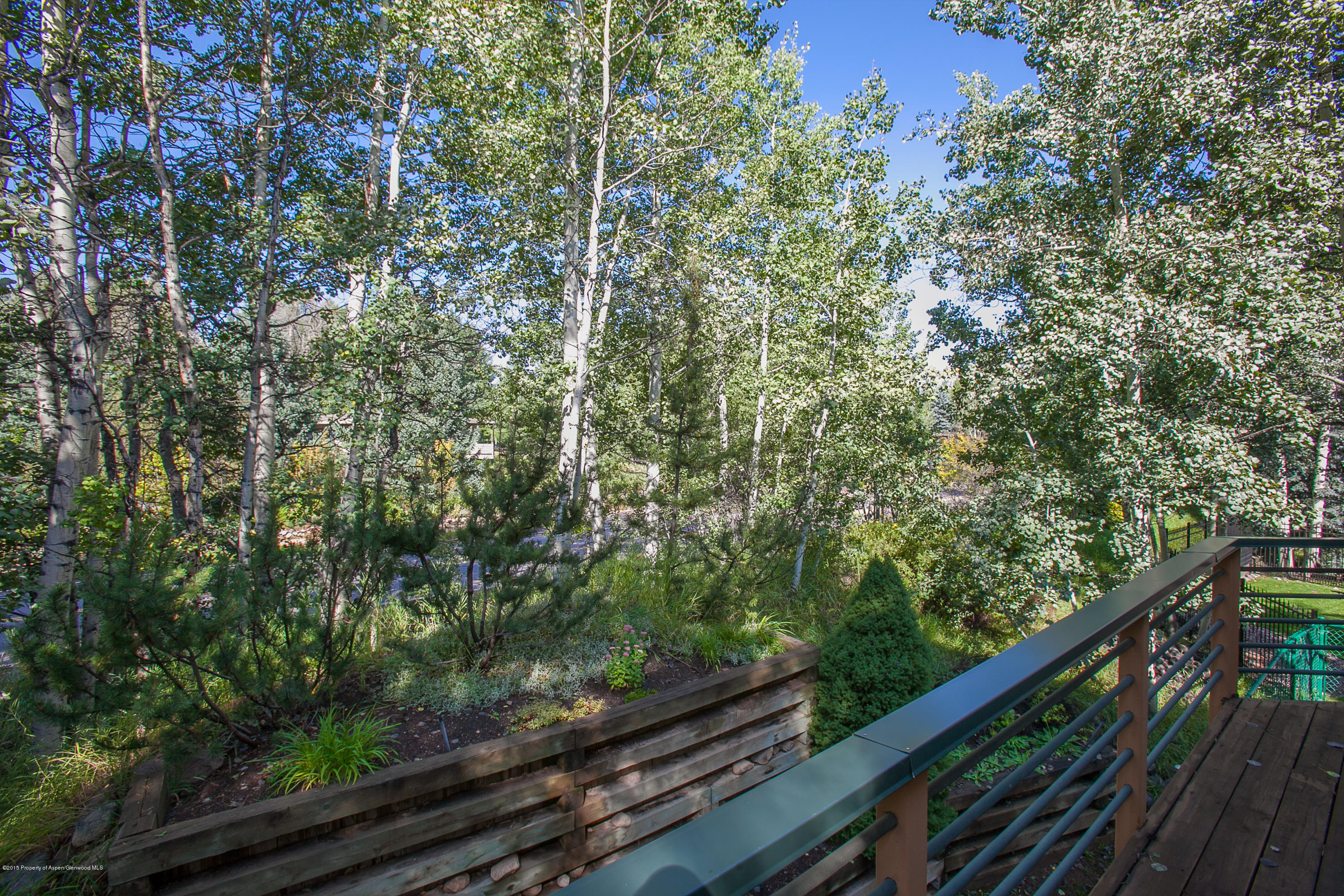 725 Castle Creek Aspen CO 81611