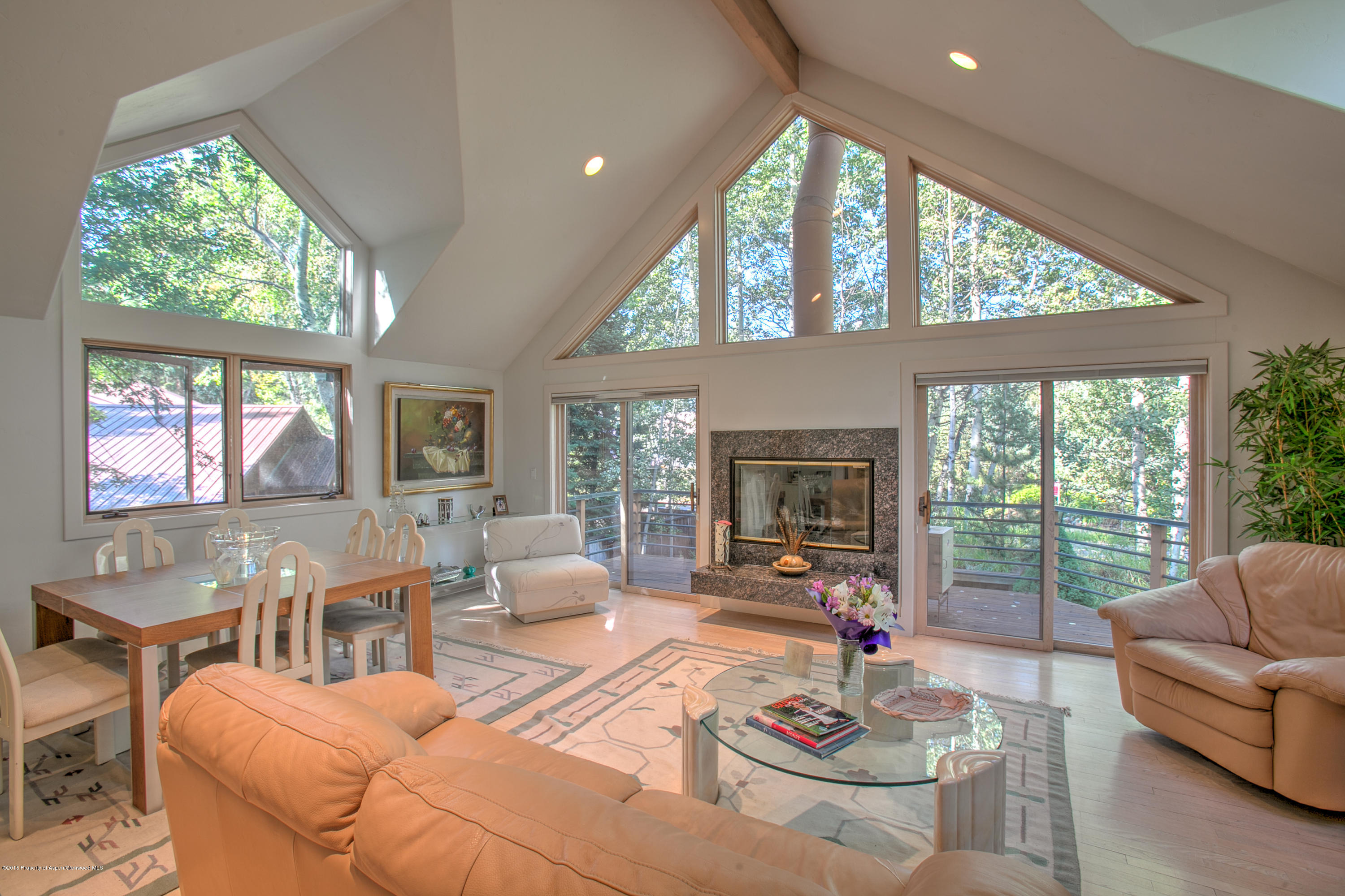 725 Castle Creek Aspen CO 81611