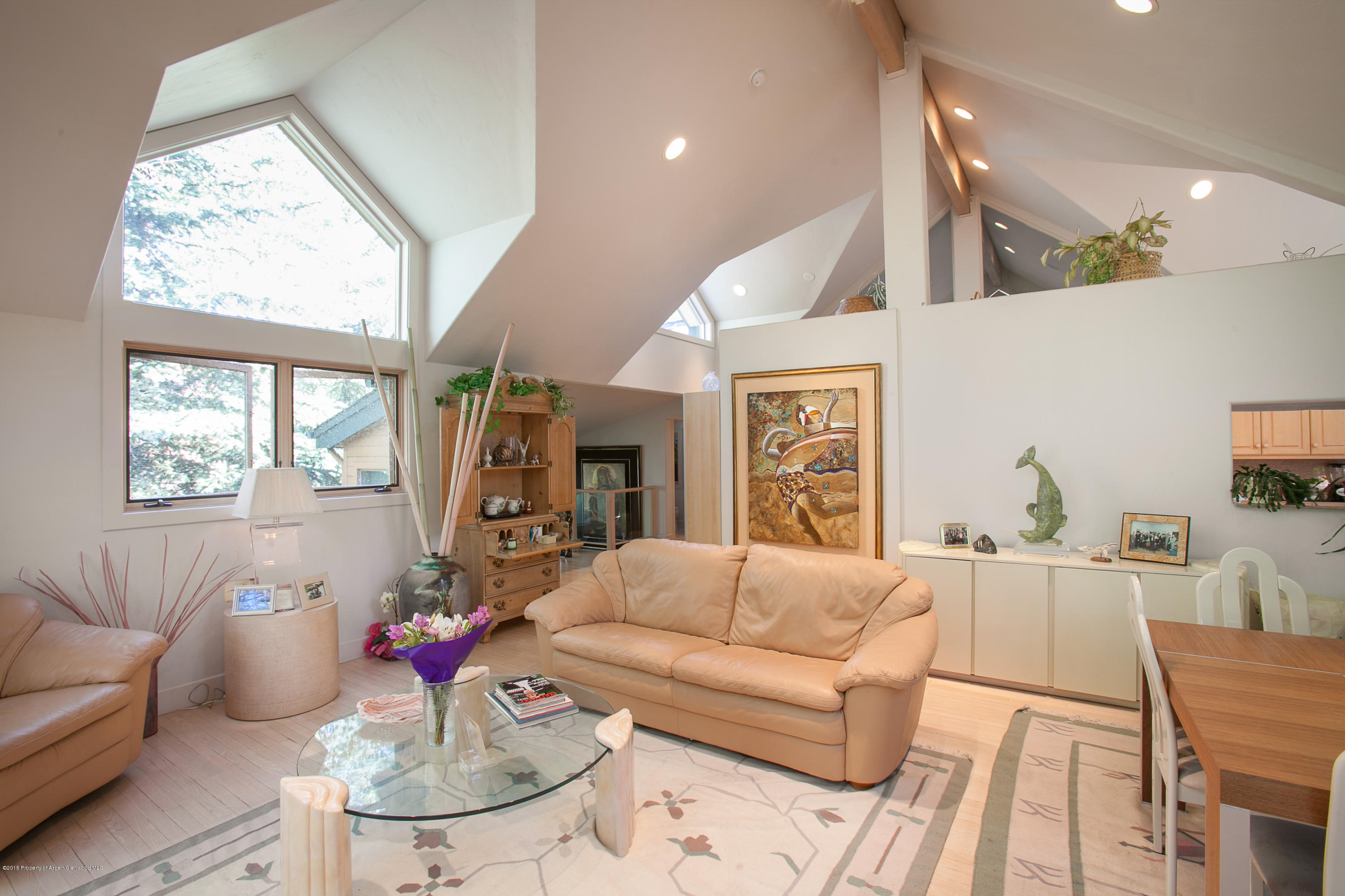 725 Castle Creek Aspen CO 81611