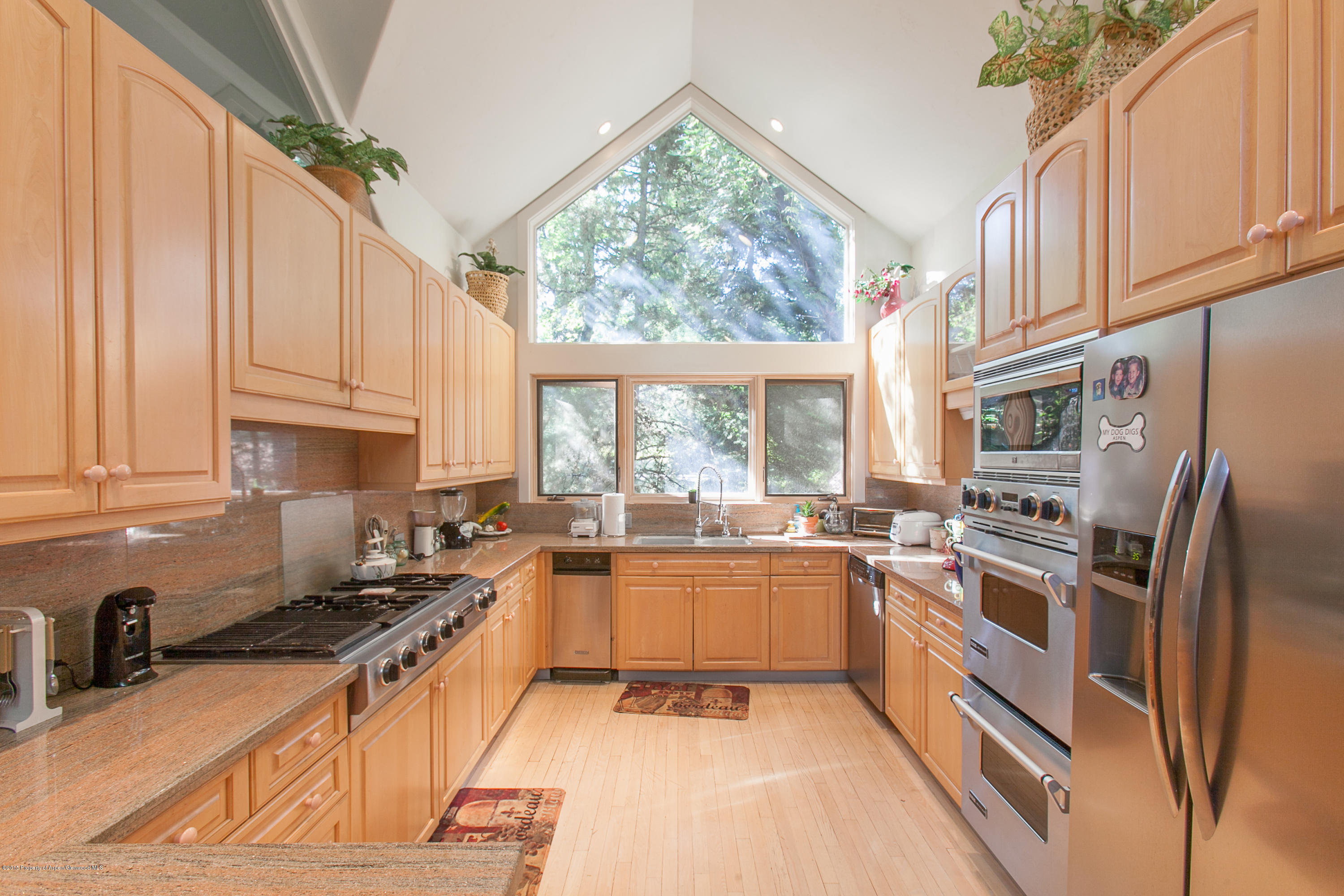 725 Castle Creek Aspen CO 81611