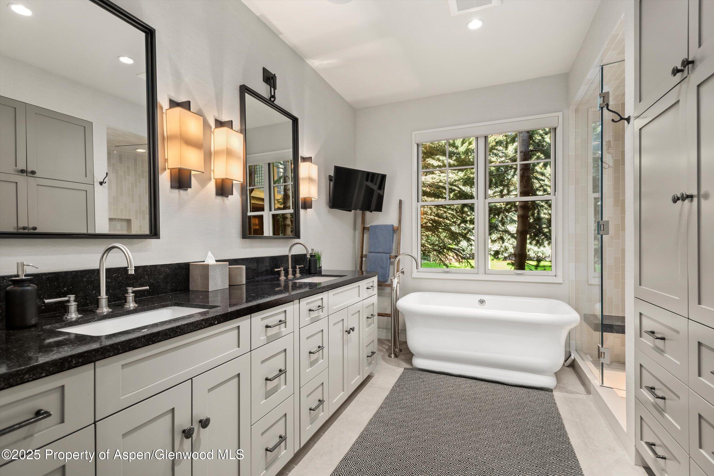 103 S Seventh Street Aspen CO 81611