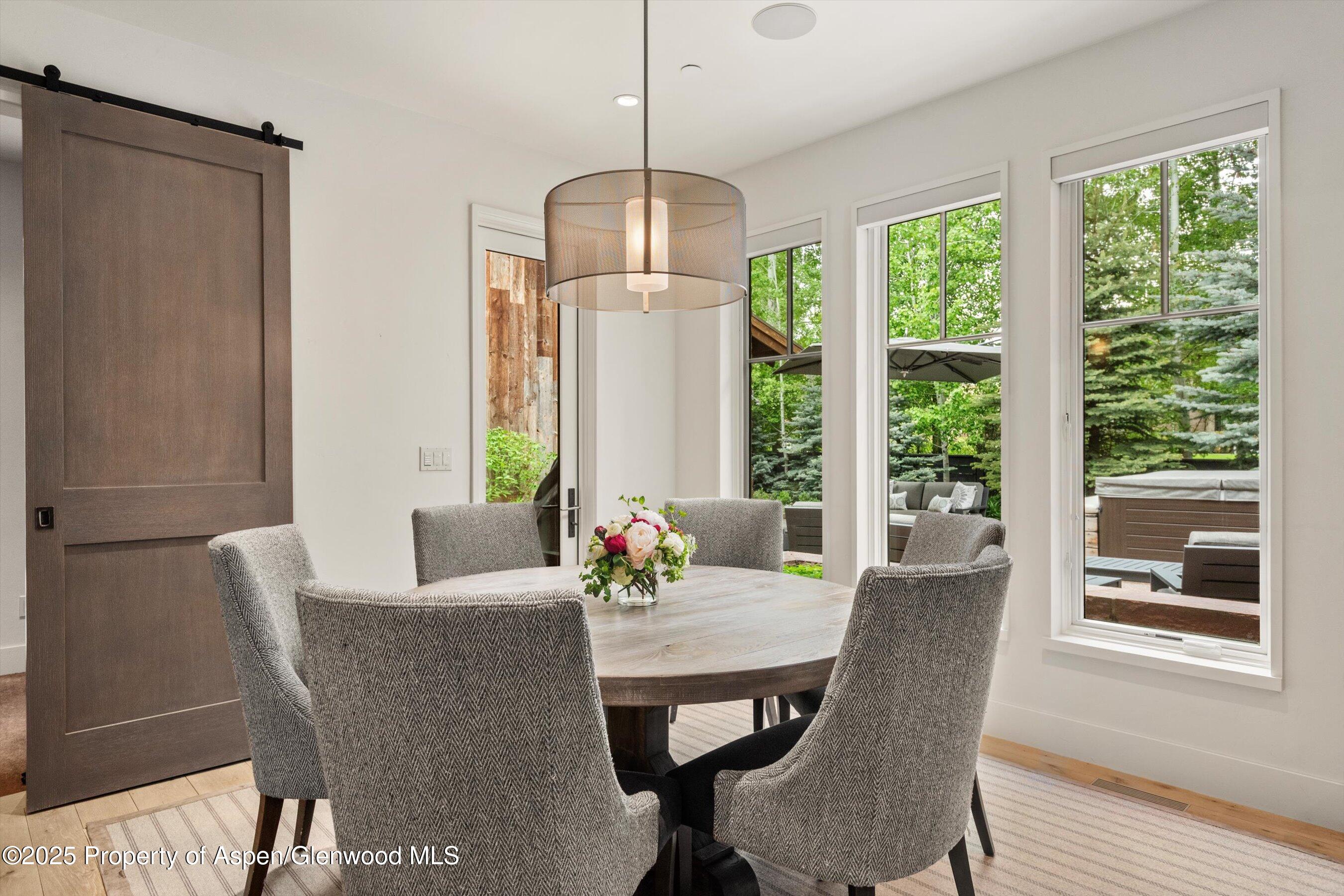 103 S Seventh Street Aspen CO 81611