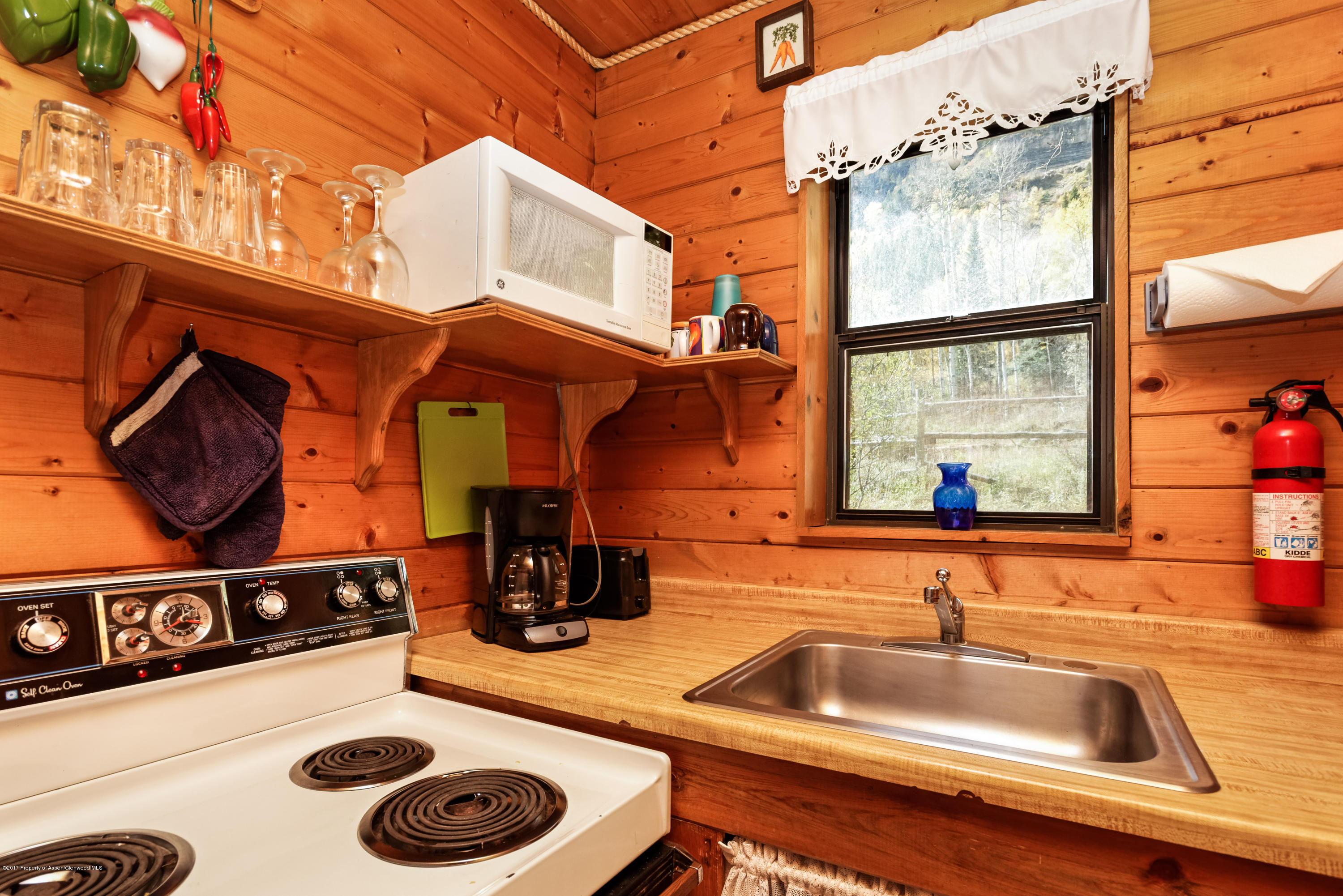 178 County Road 3 Redstone CO 81623