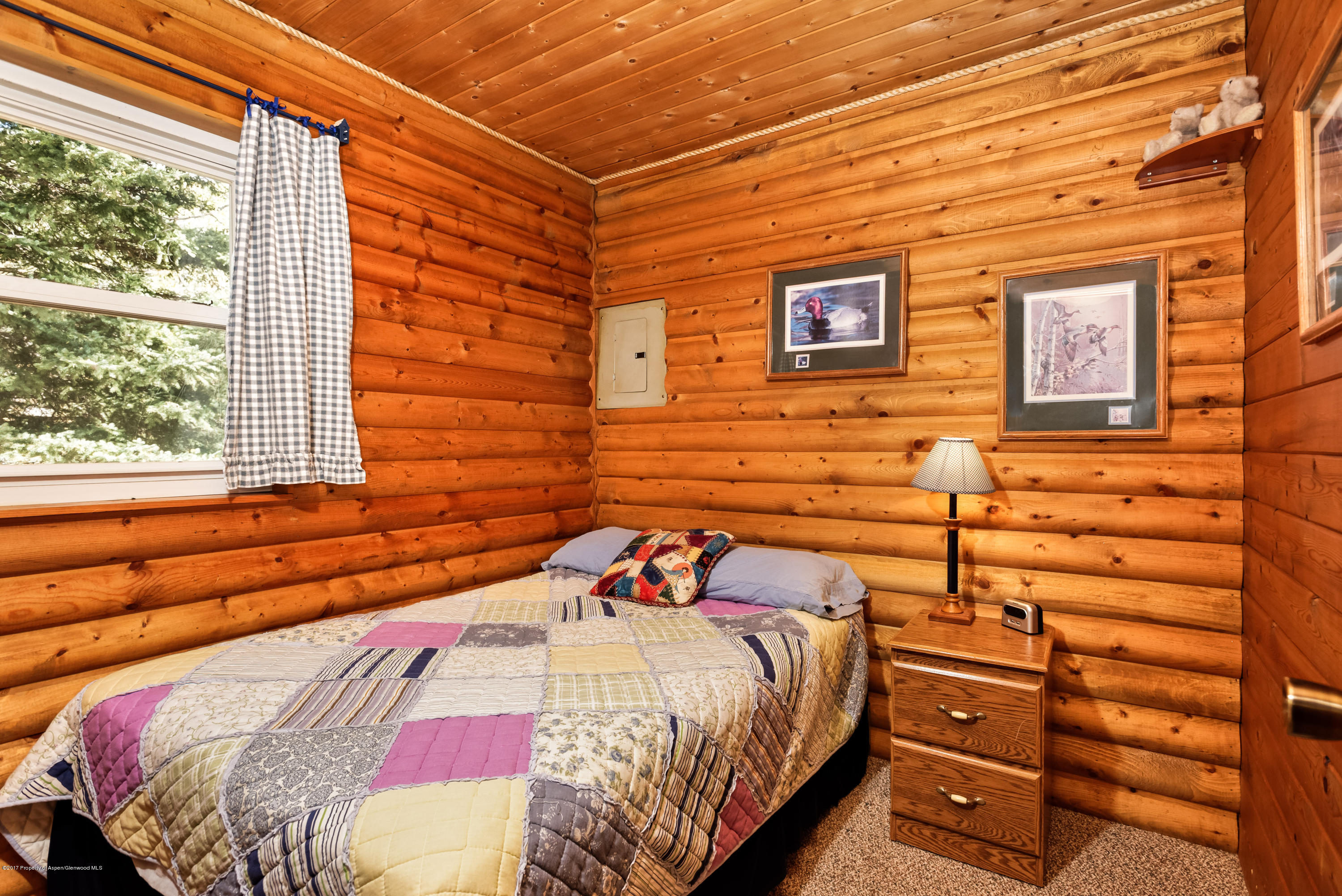 178 County Road 3 Redstone CO 81623