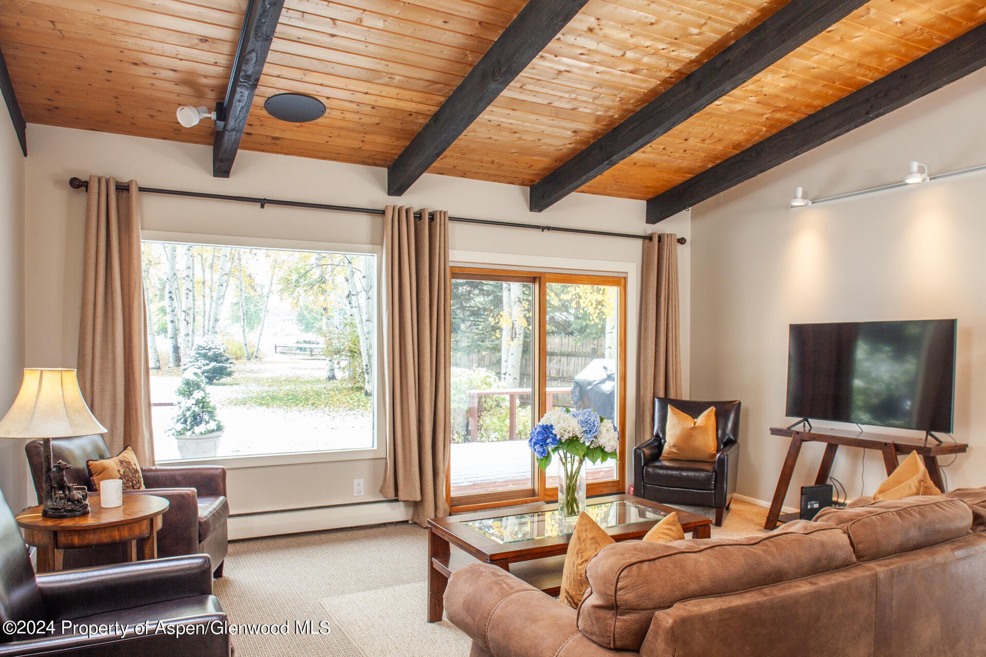 823 Bonita Drive Aspen CO 81611
