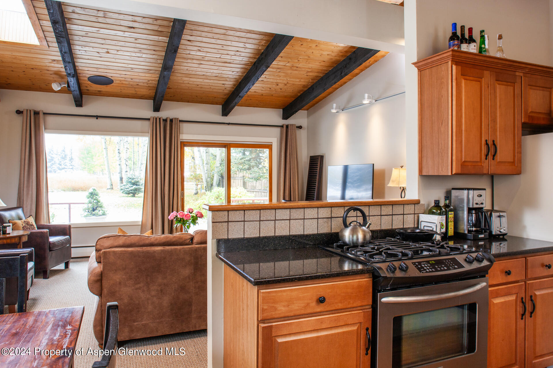 823 Bonita Drive Aspen CO 81611