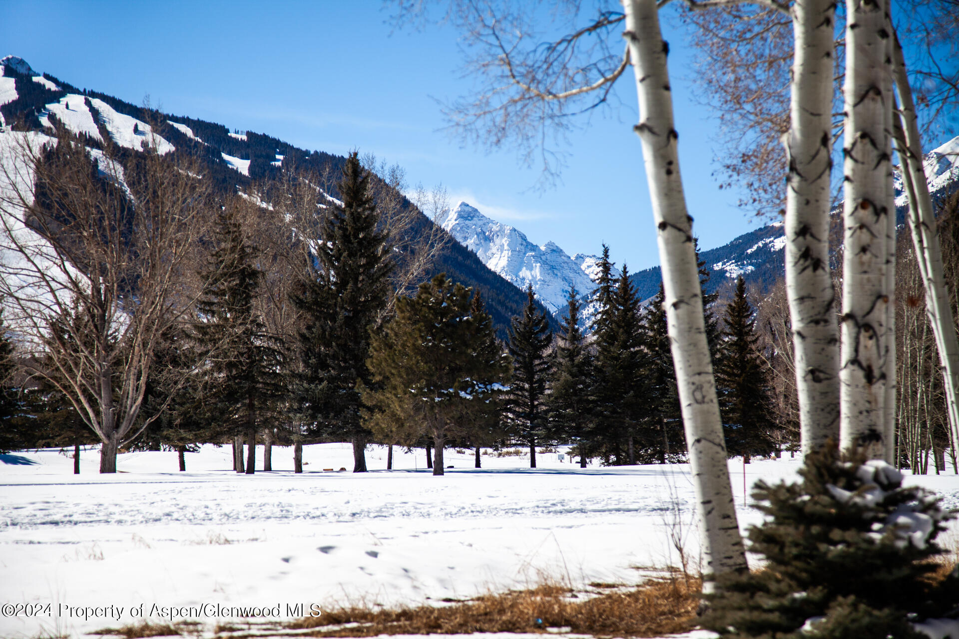 823 Bonita Drive Aspen CO 81611