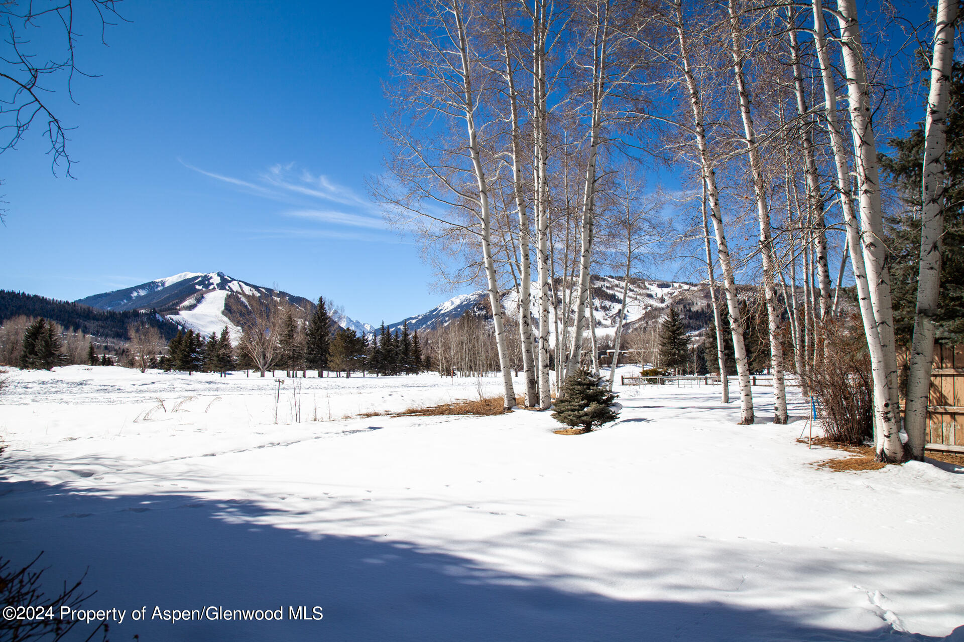 823 Bonita Drive Aspen CO 81611
