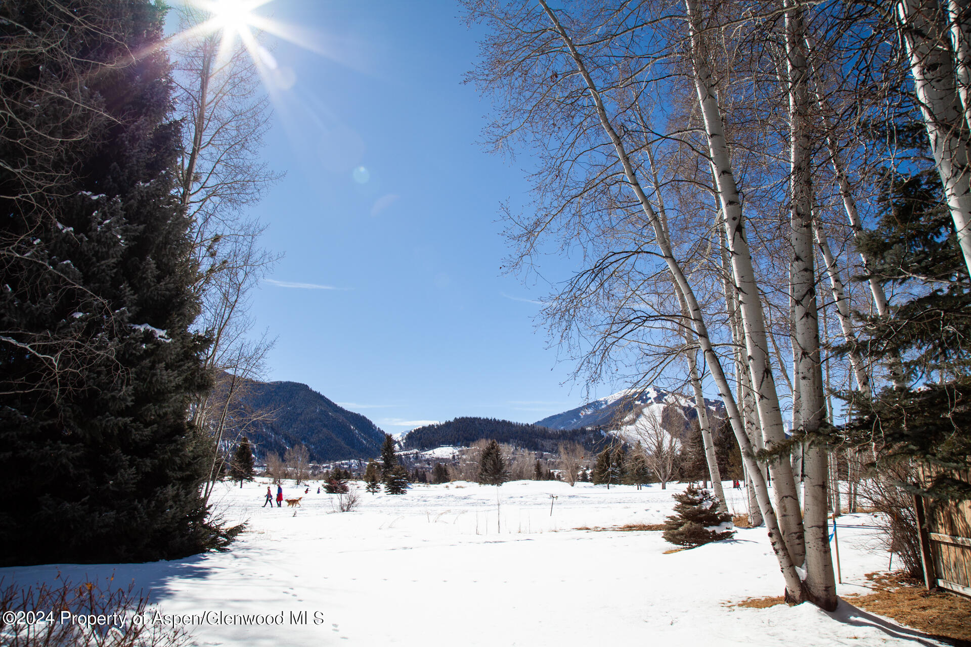 823 Bonita Drive Aspen CO 81611