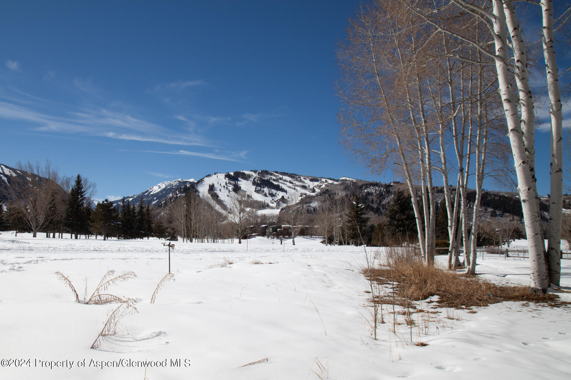 823 Bonita Drive Aspen CO 81611