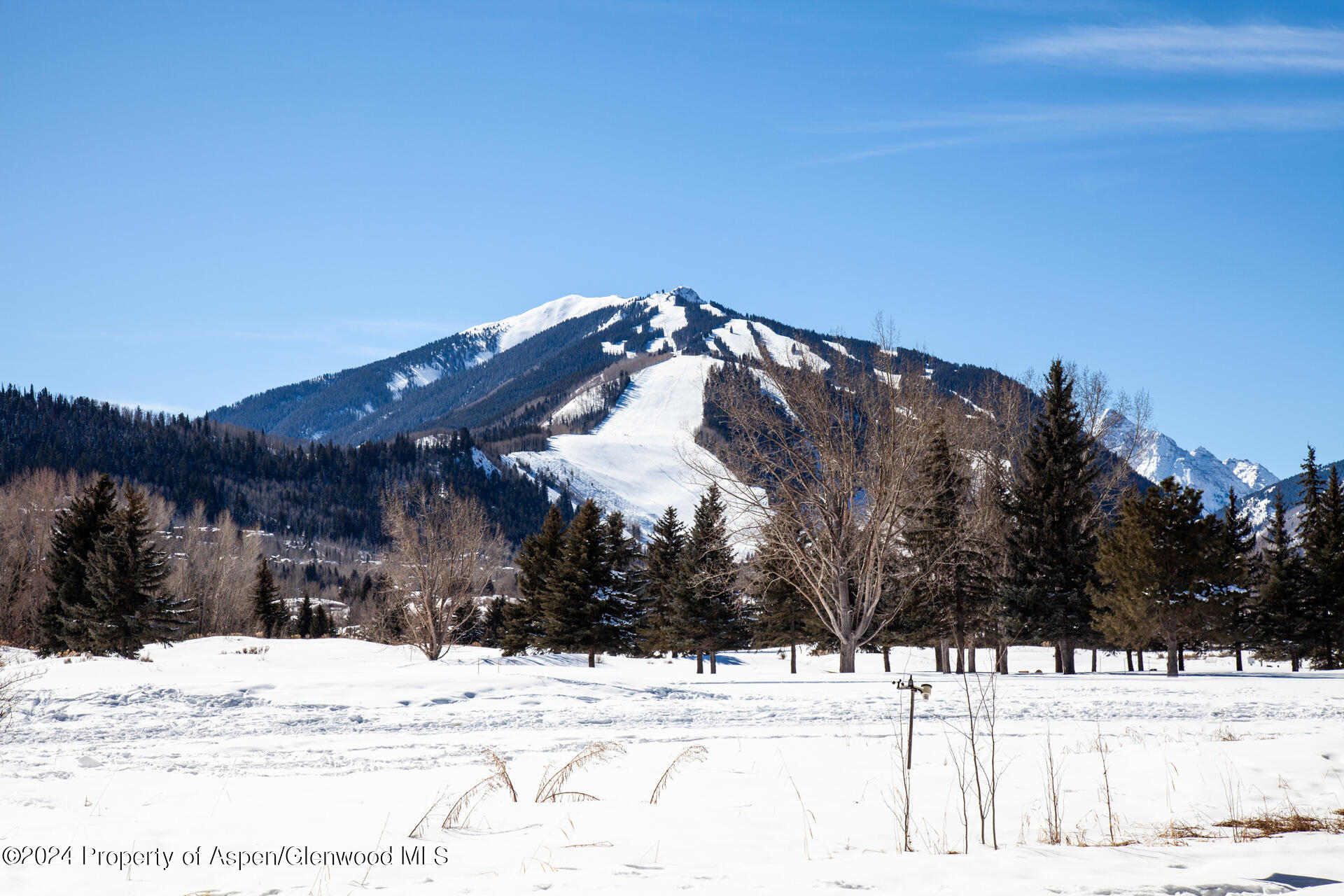 823 Bonita Drive Aspen CO 81611