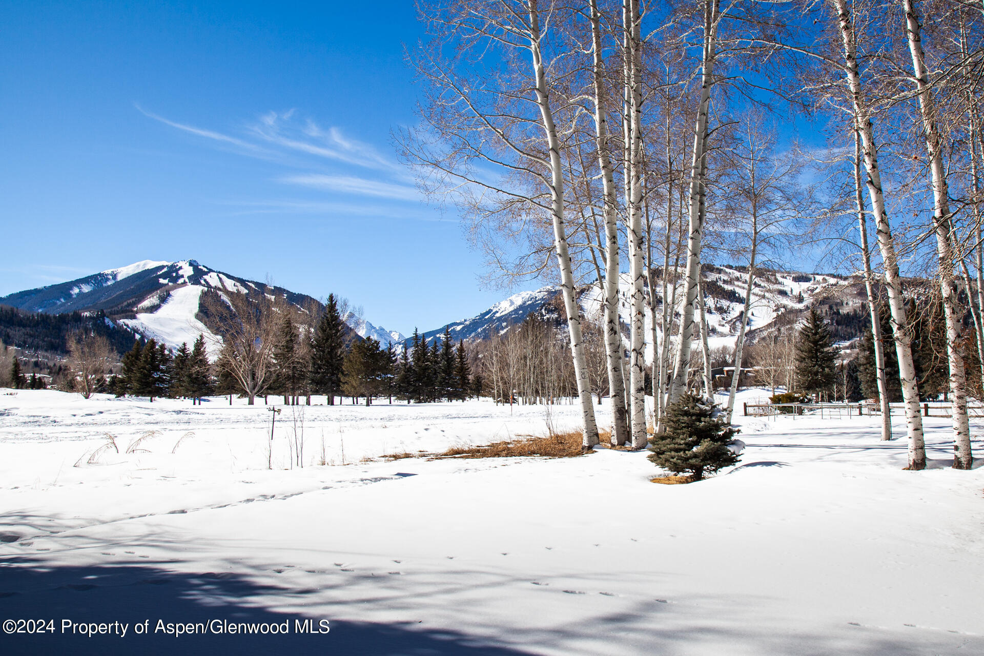 823 Bonita Drive Aspen CO 81611