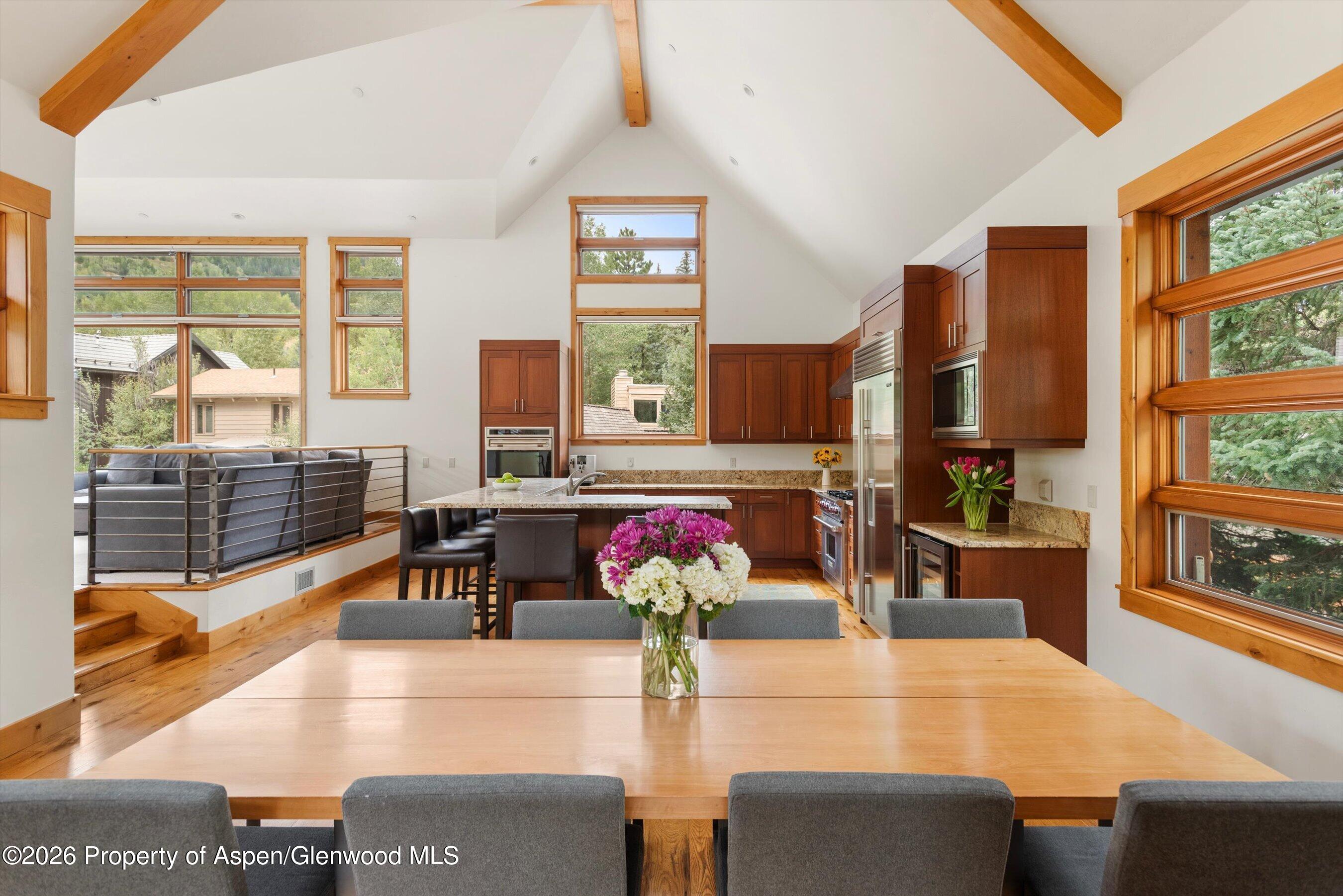 115 Park Avenue Aspen CO 81611