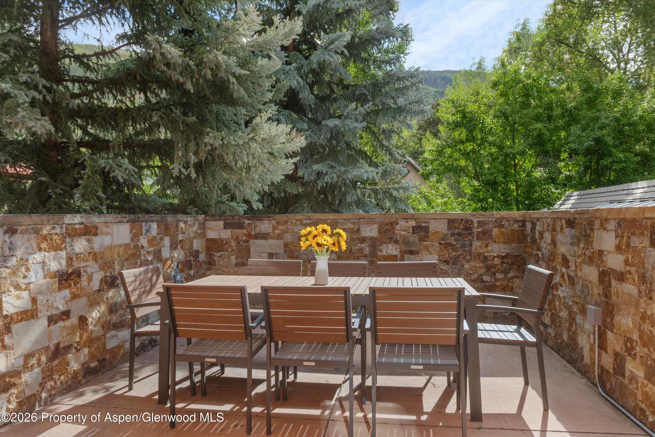 115 Park Avenue Aspen CO 81611