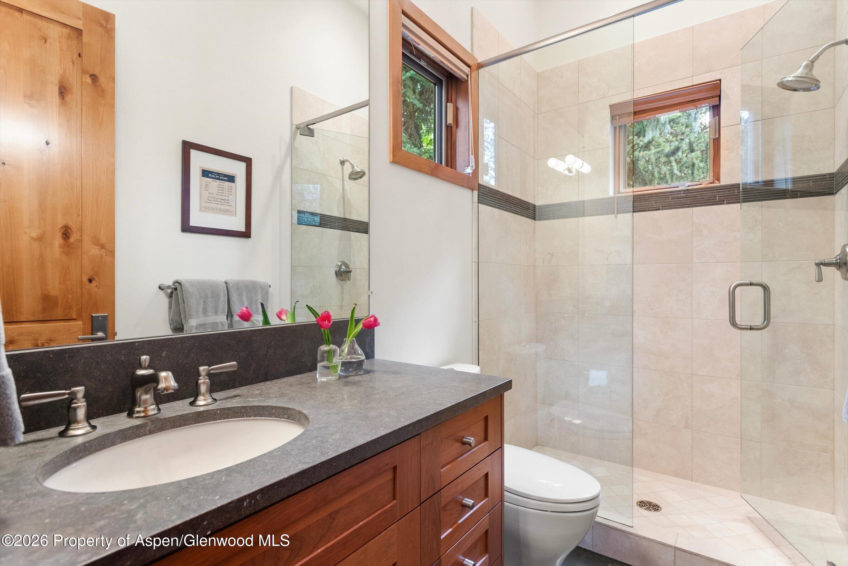 115 Park Avenue Aspen CO 81611