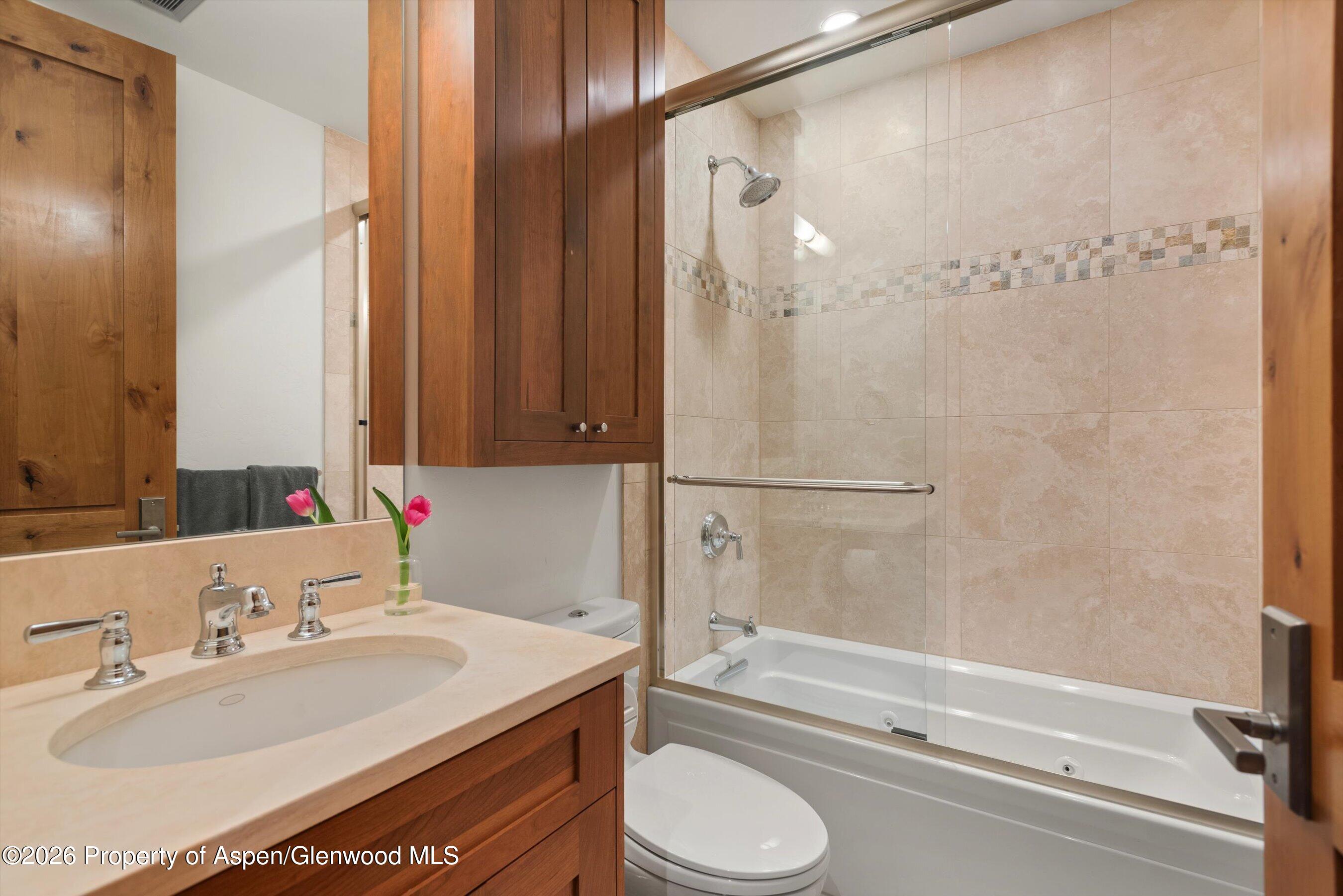 115 Park Avenue Aspen CO 81611