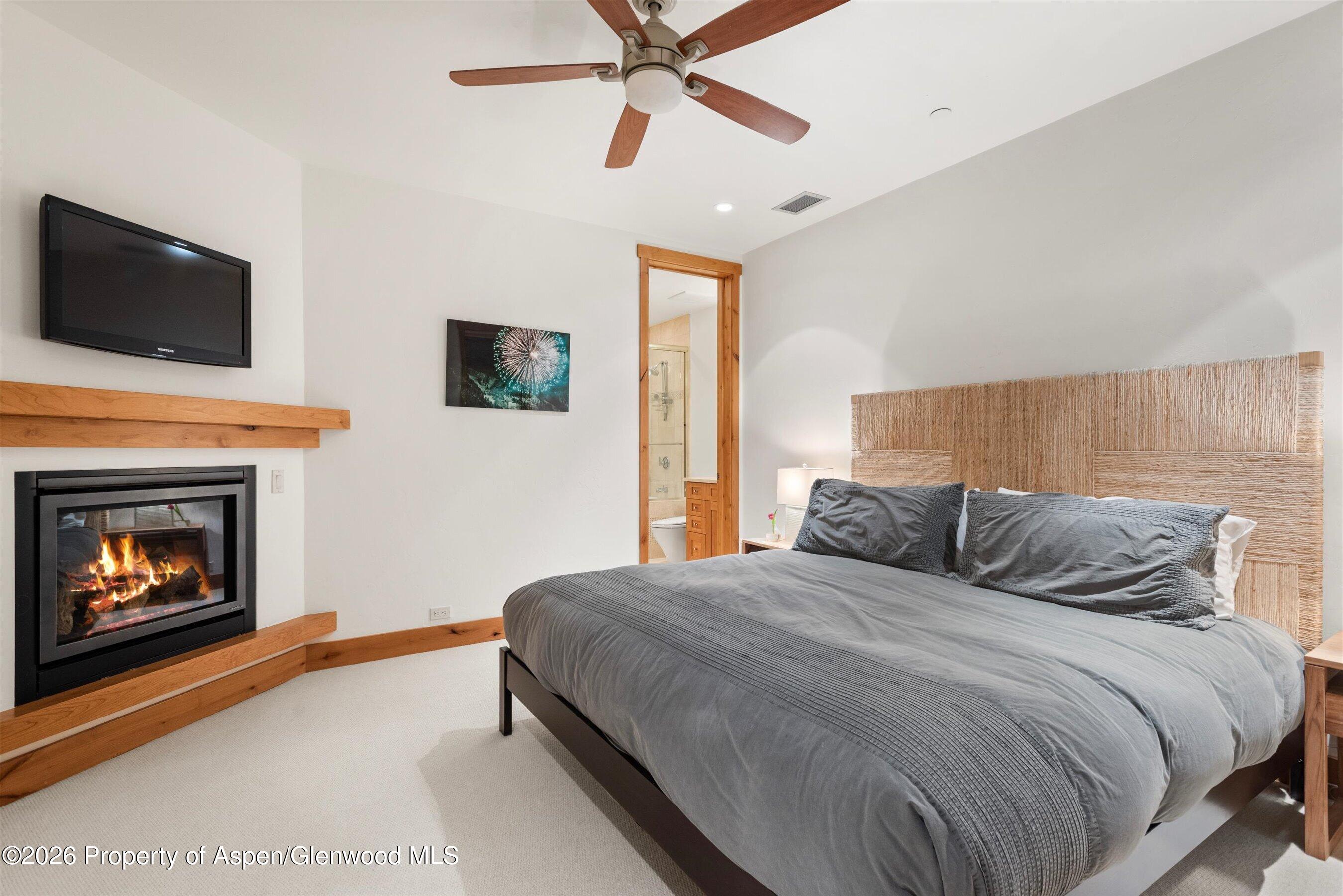 115 Park Avenue Aspen CO 81611