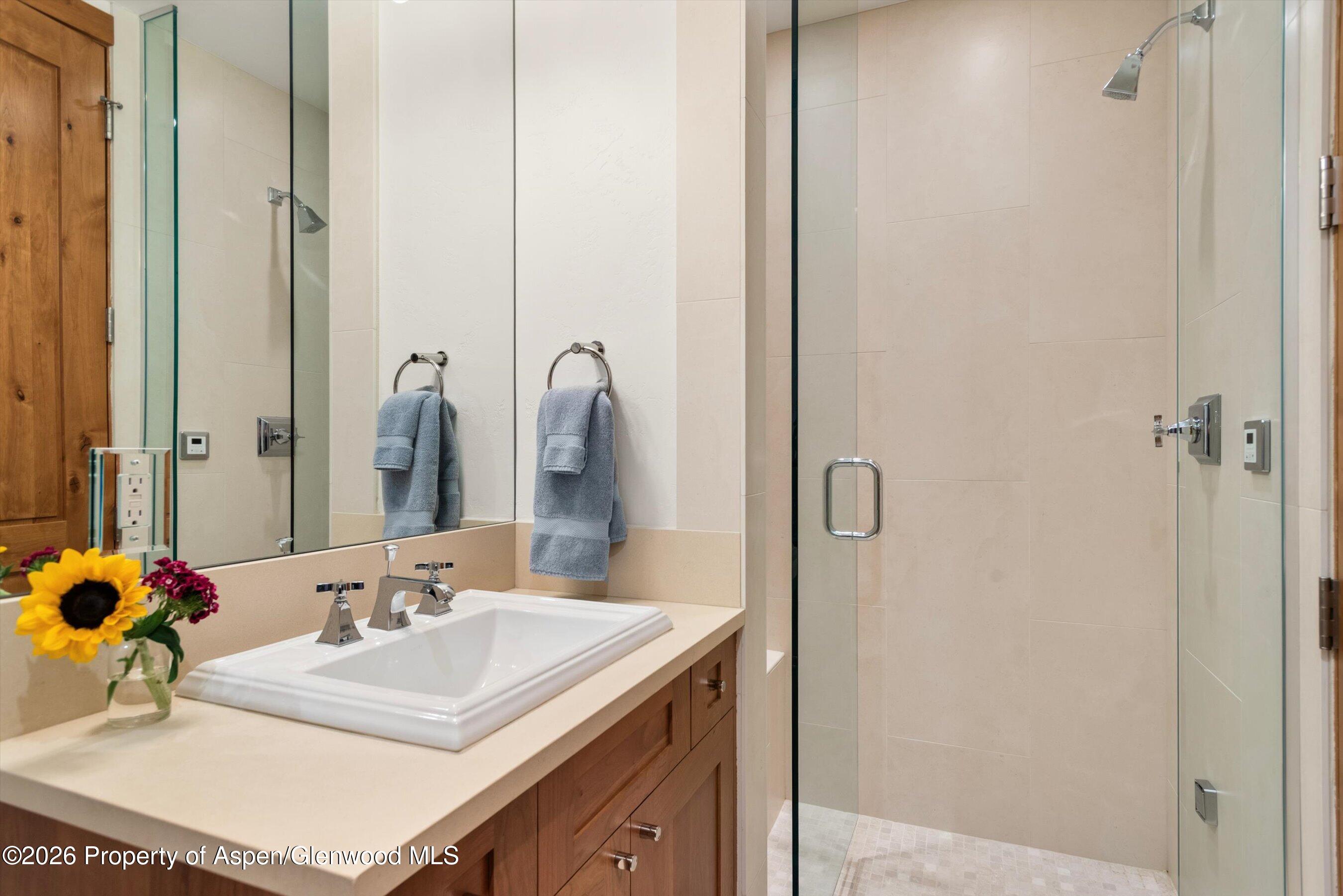 115 Park Avenue Aspen CO 81611