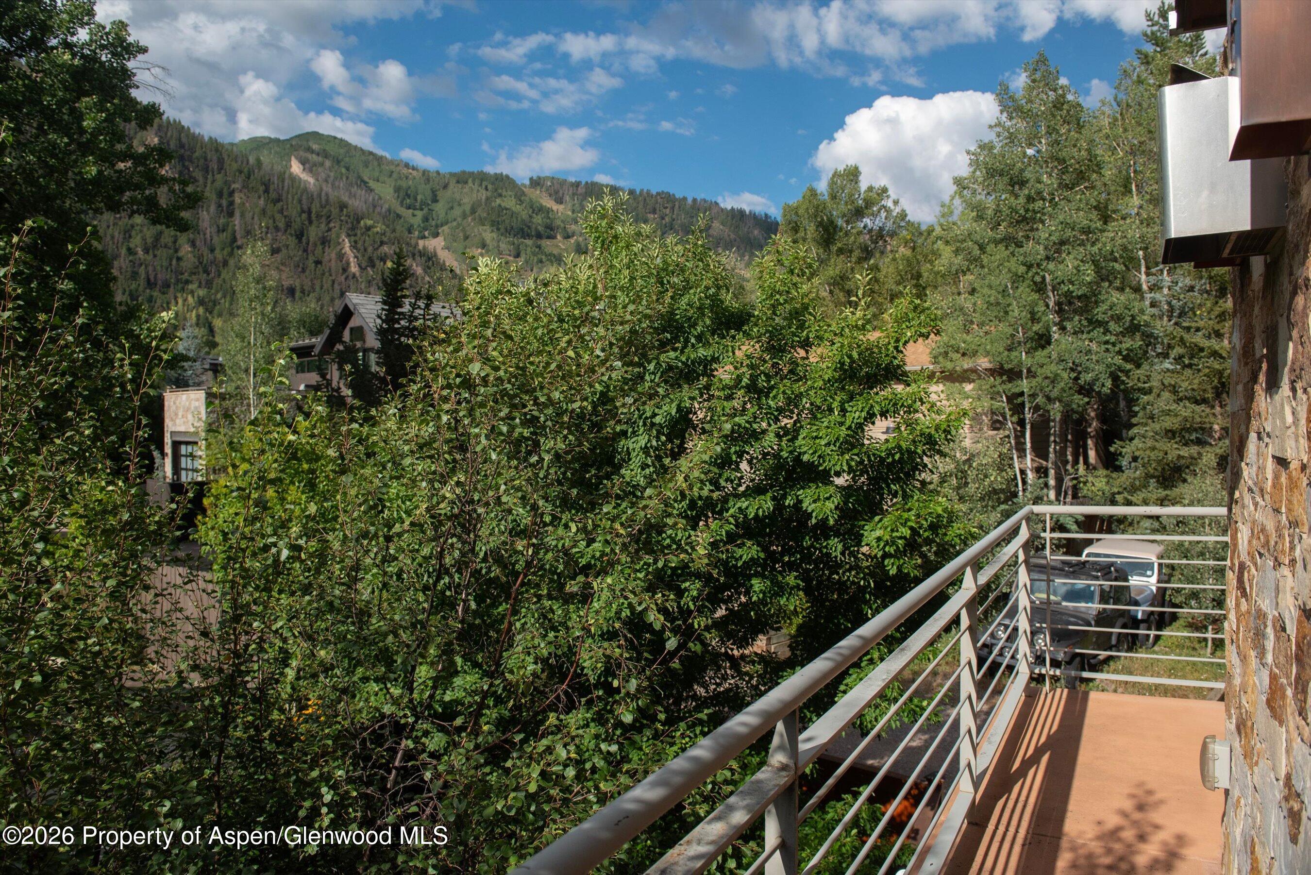 115 Park Avenue Aspen CO 81611