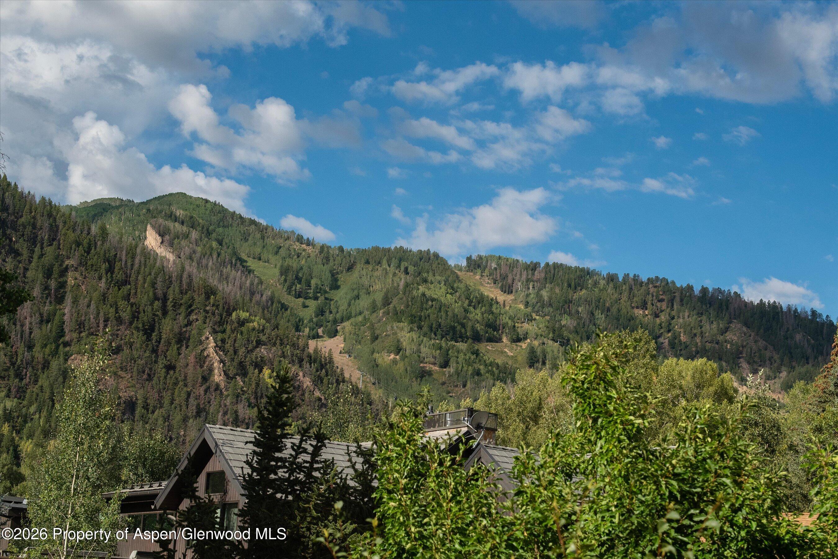 115 Park Avenue Aspen CO 81611