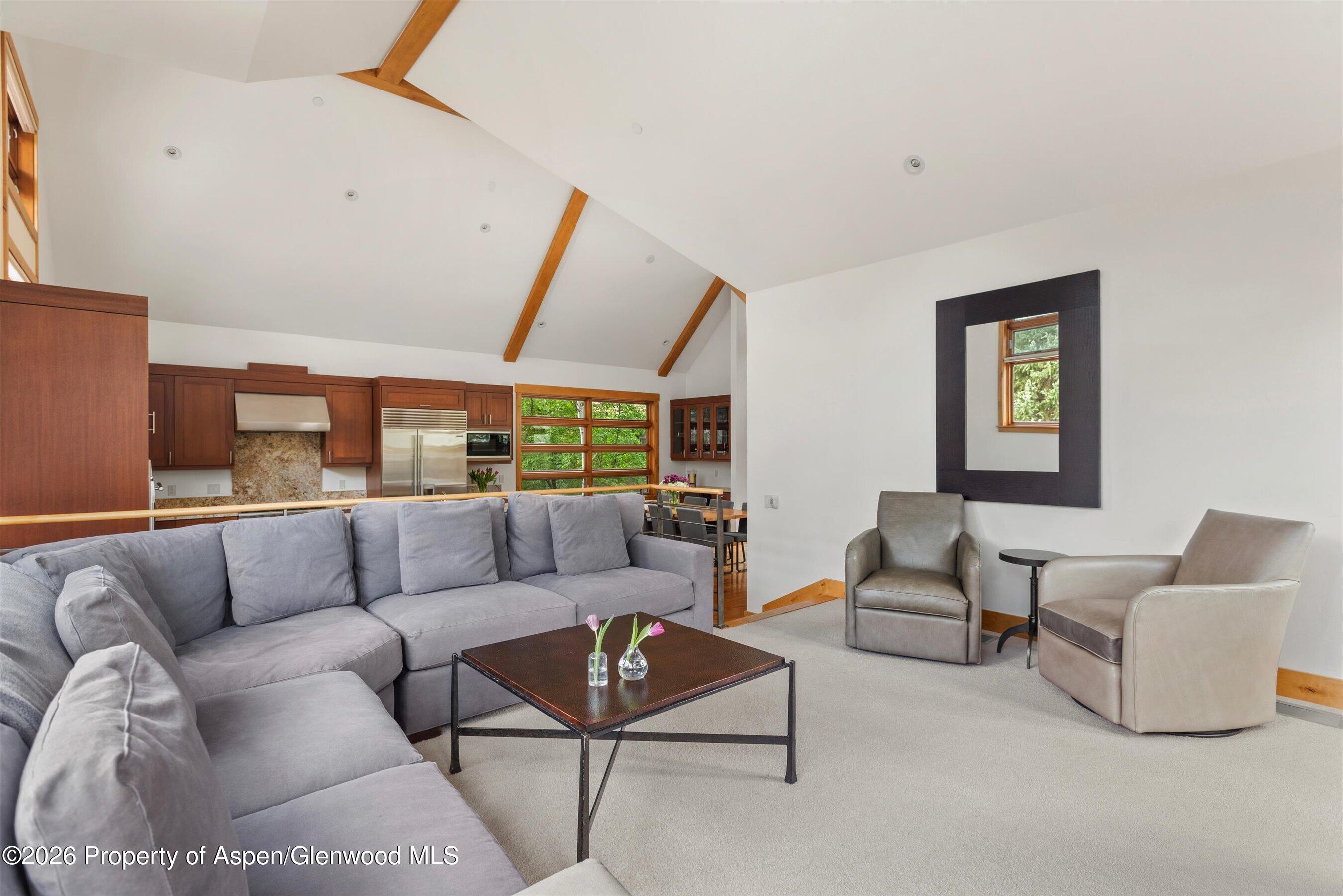 115 Park Avenue Aspen CO 81611