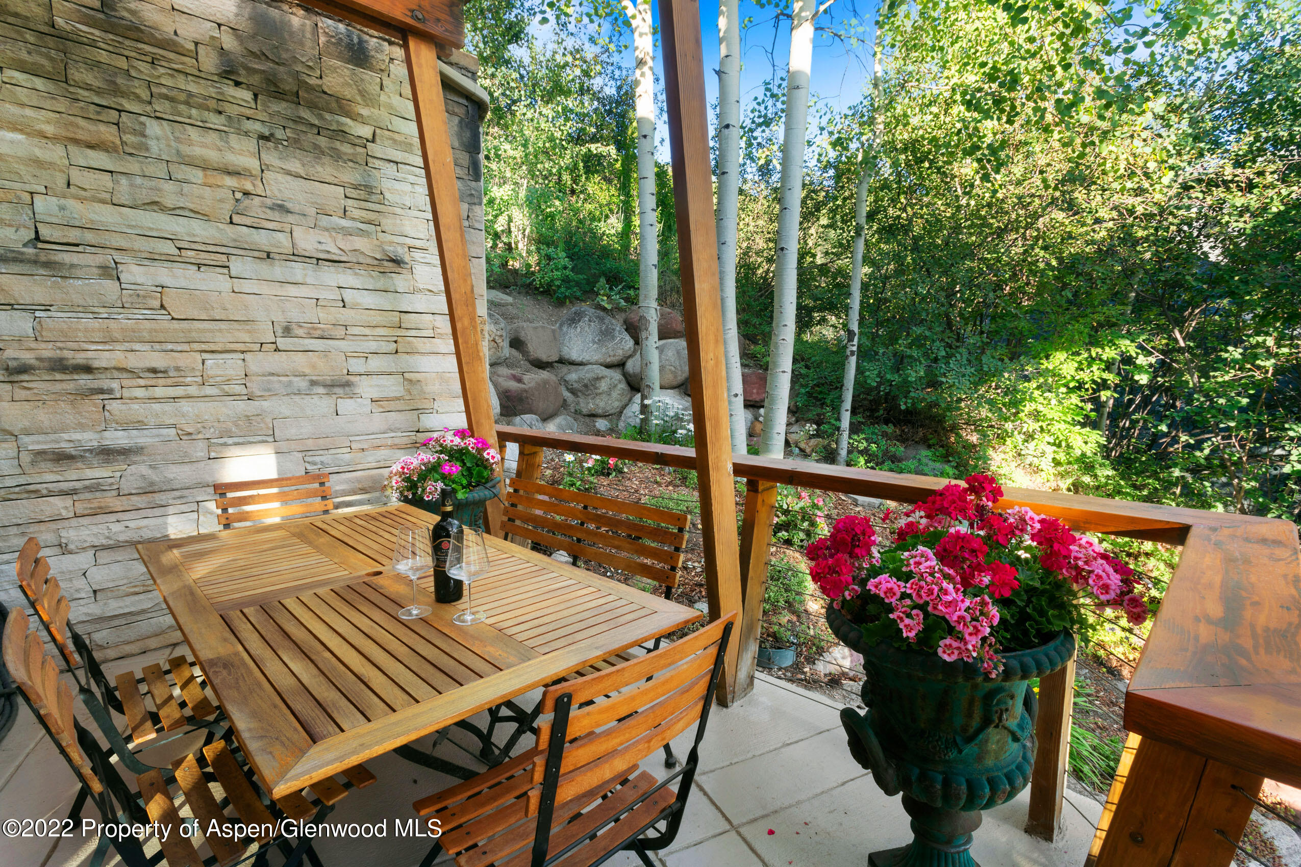 250 Mountain Laurel Drive Aspen CO 81611
