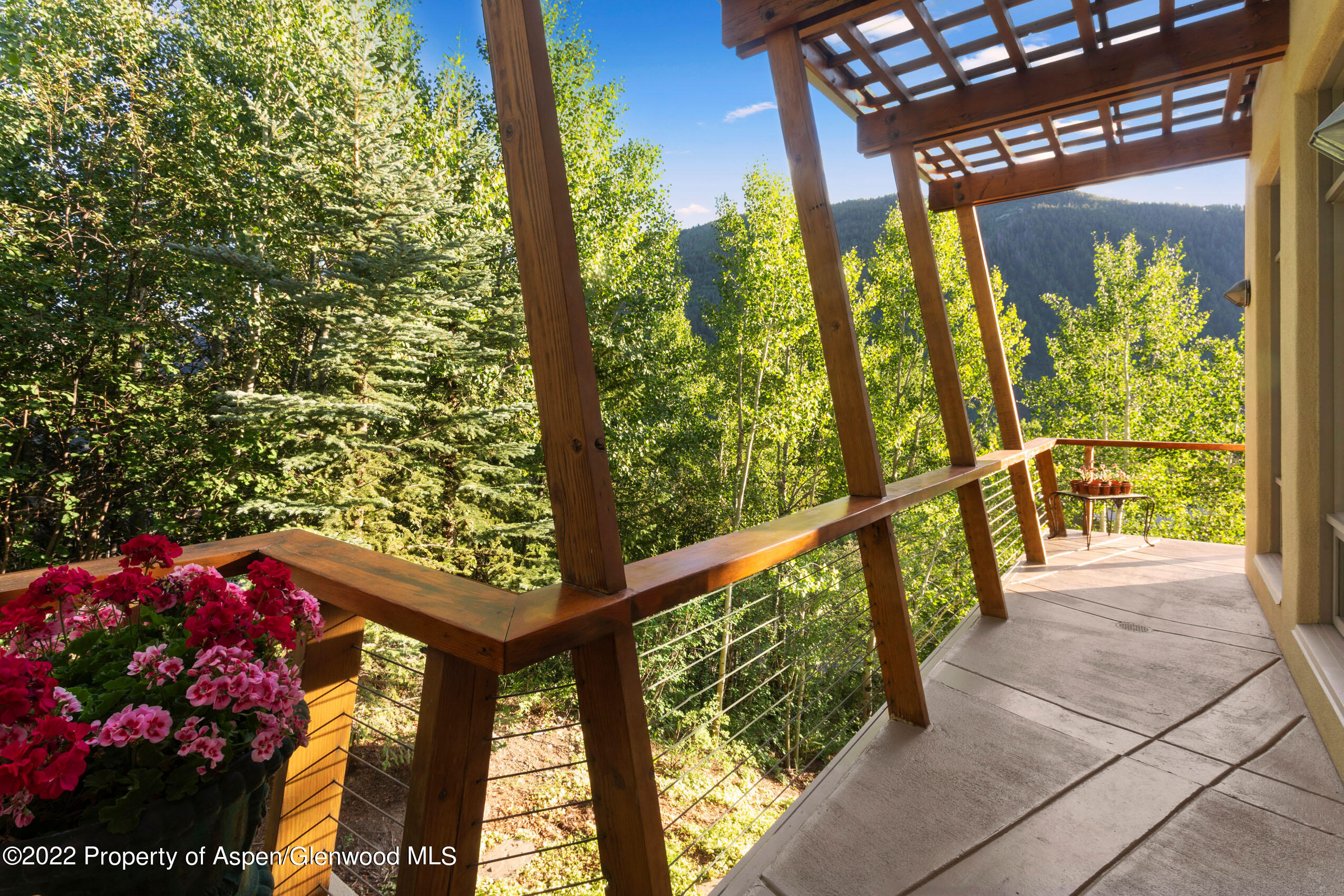 250 Mountain Laurel Drive Aspen CO 81611