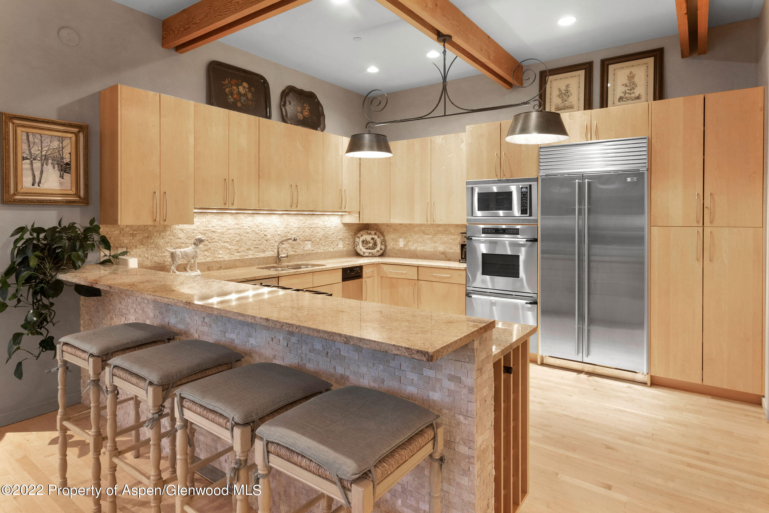 250 Mountain Laurel Drive Aspen CO 81611