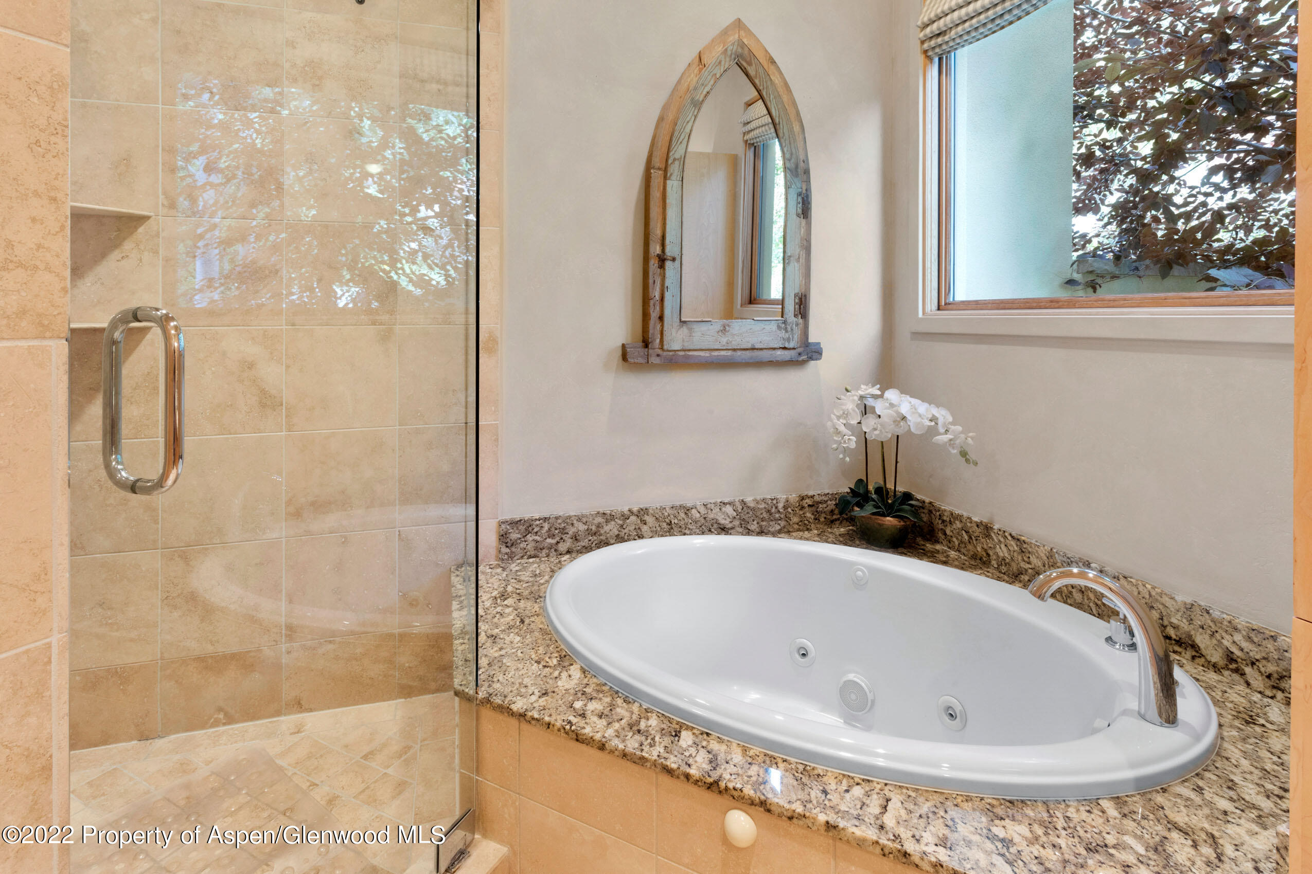 250 Mountain Laurel Drive Aspen CO 81611