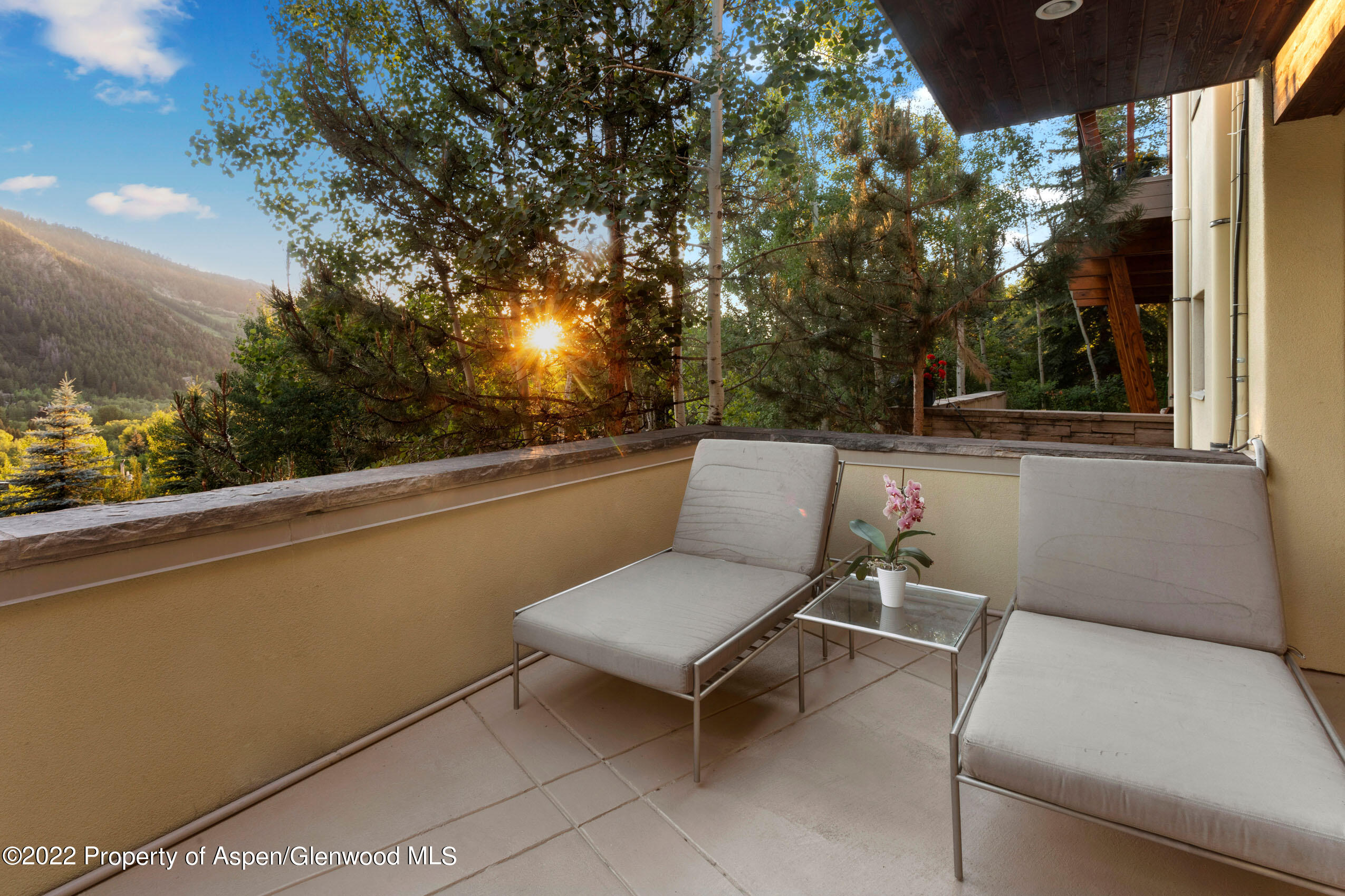 250 Mountain Laurel Drive Aspen CO 81611