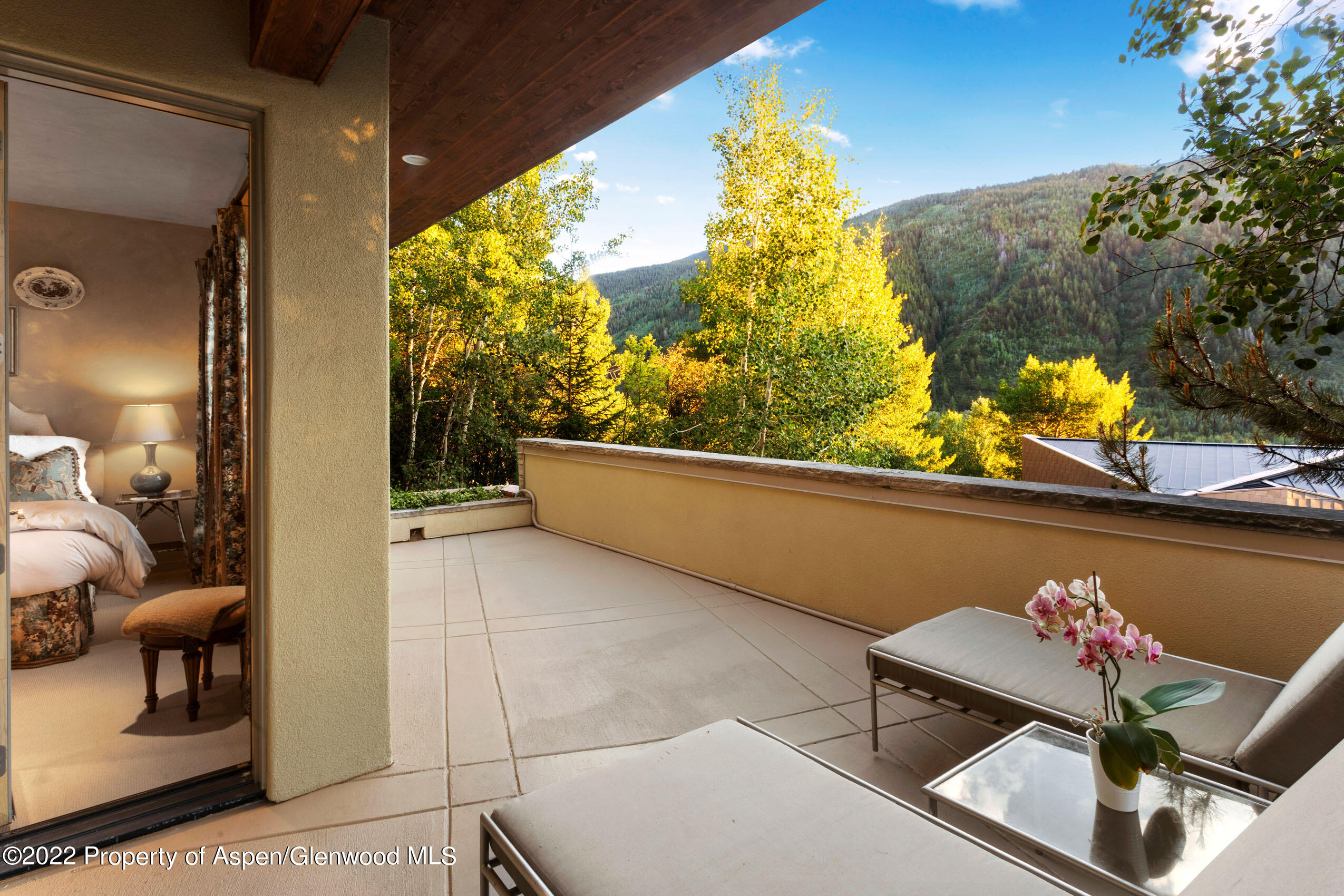 250 Mountain Laurel Drive Aspen CO 81611