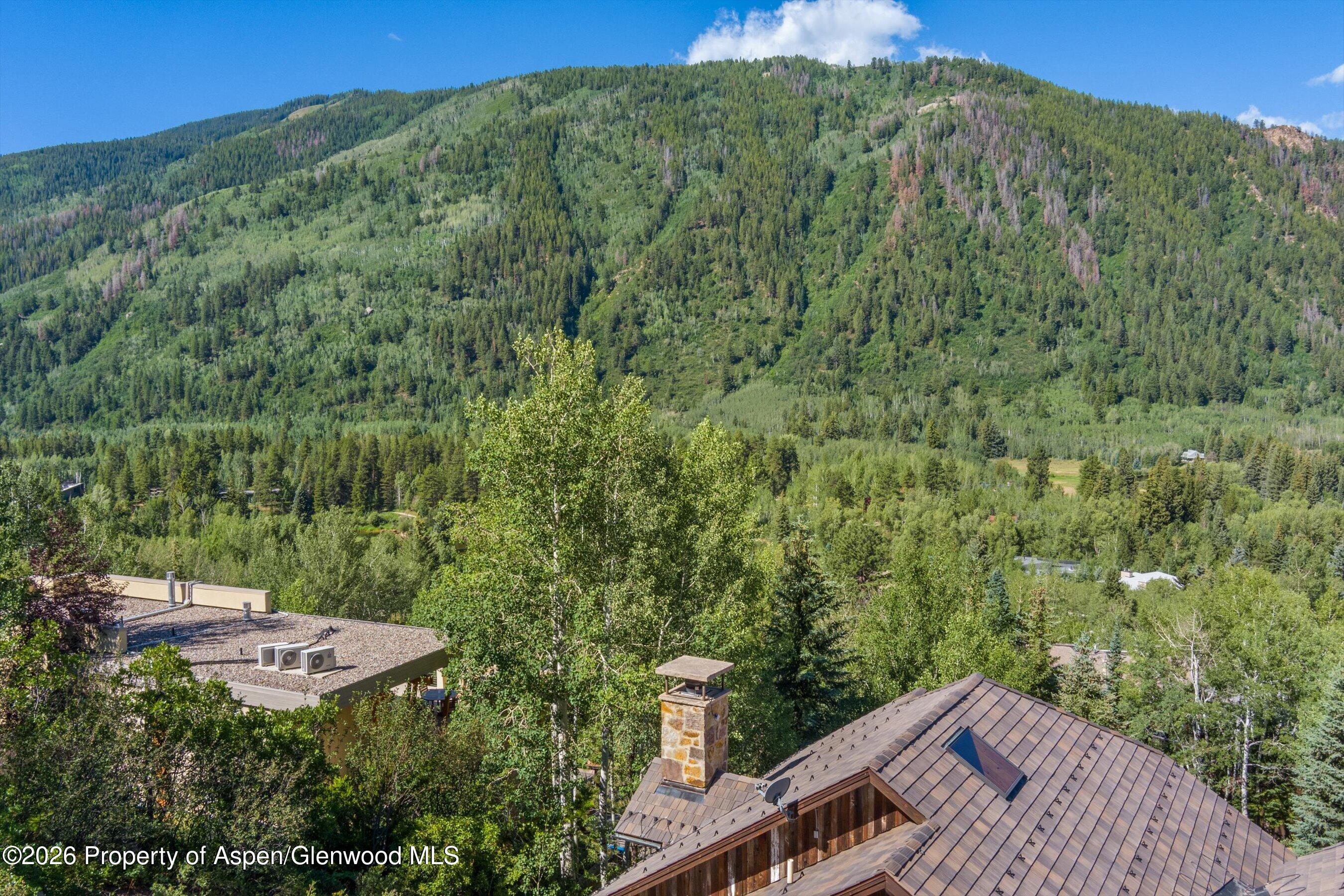 268 Mountain Laurel Drive Aspen CO 81611