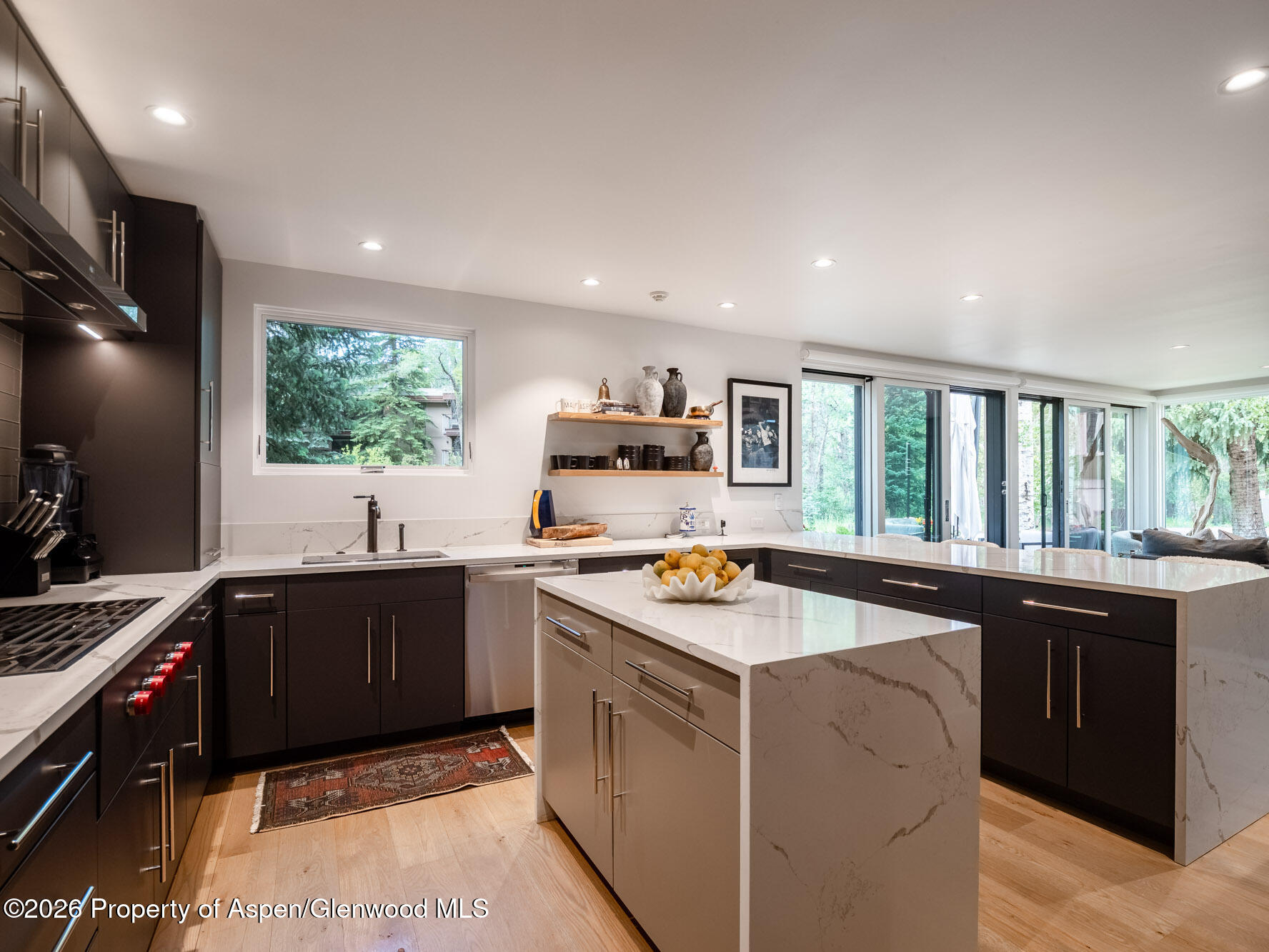 314 N Riverside Avenue Aspen CO 81611