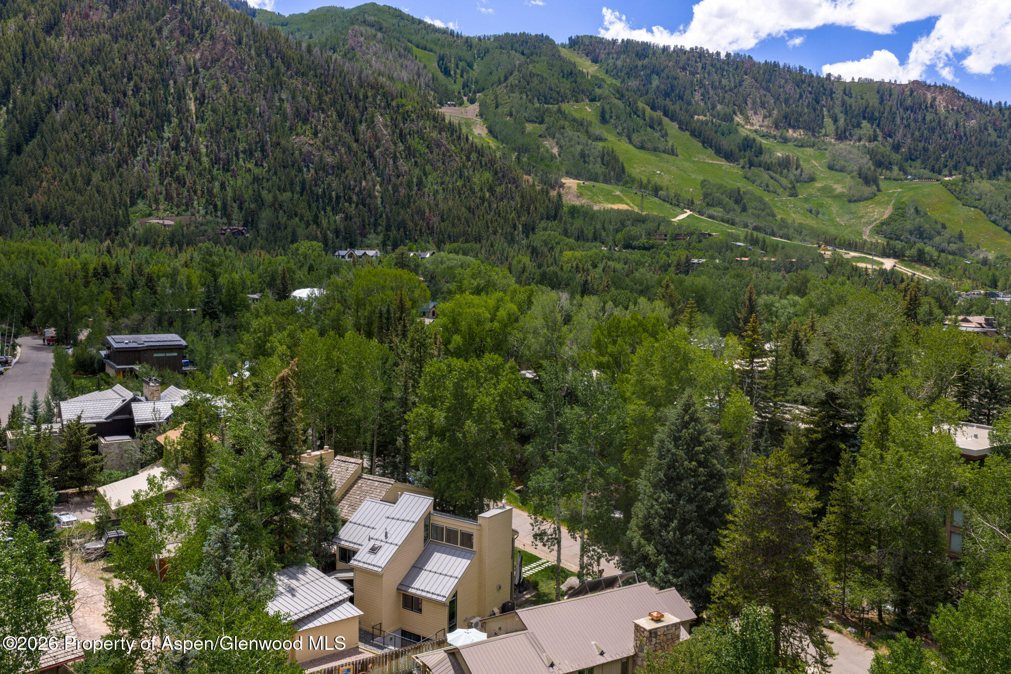 314 N Riverside Avenue Aspen CO 81611