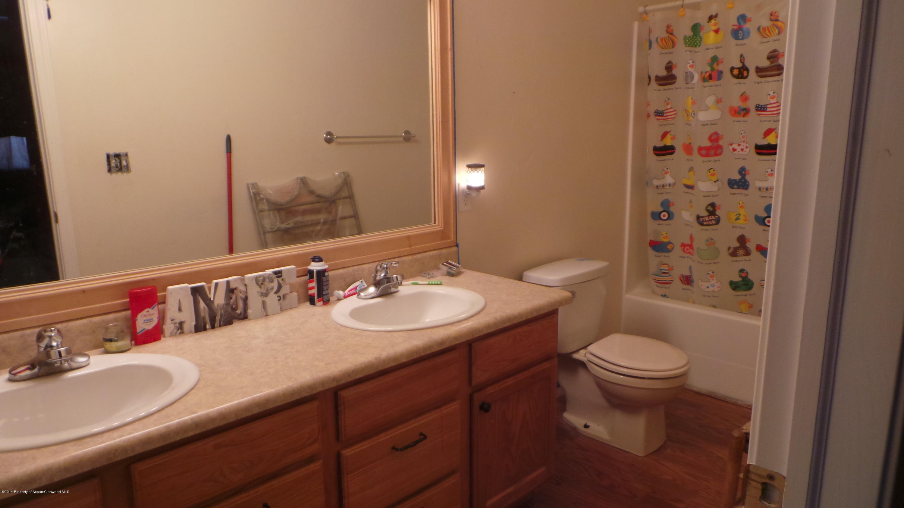 687 Bristlecone Way Silt CO 81652