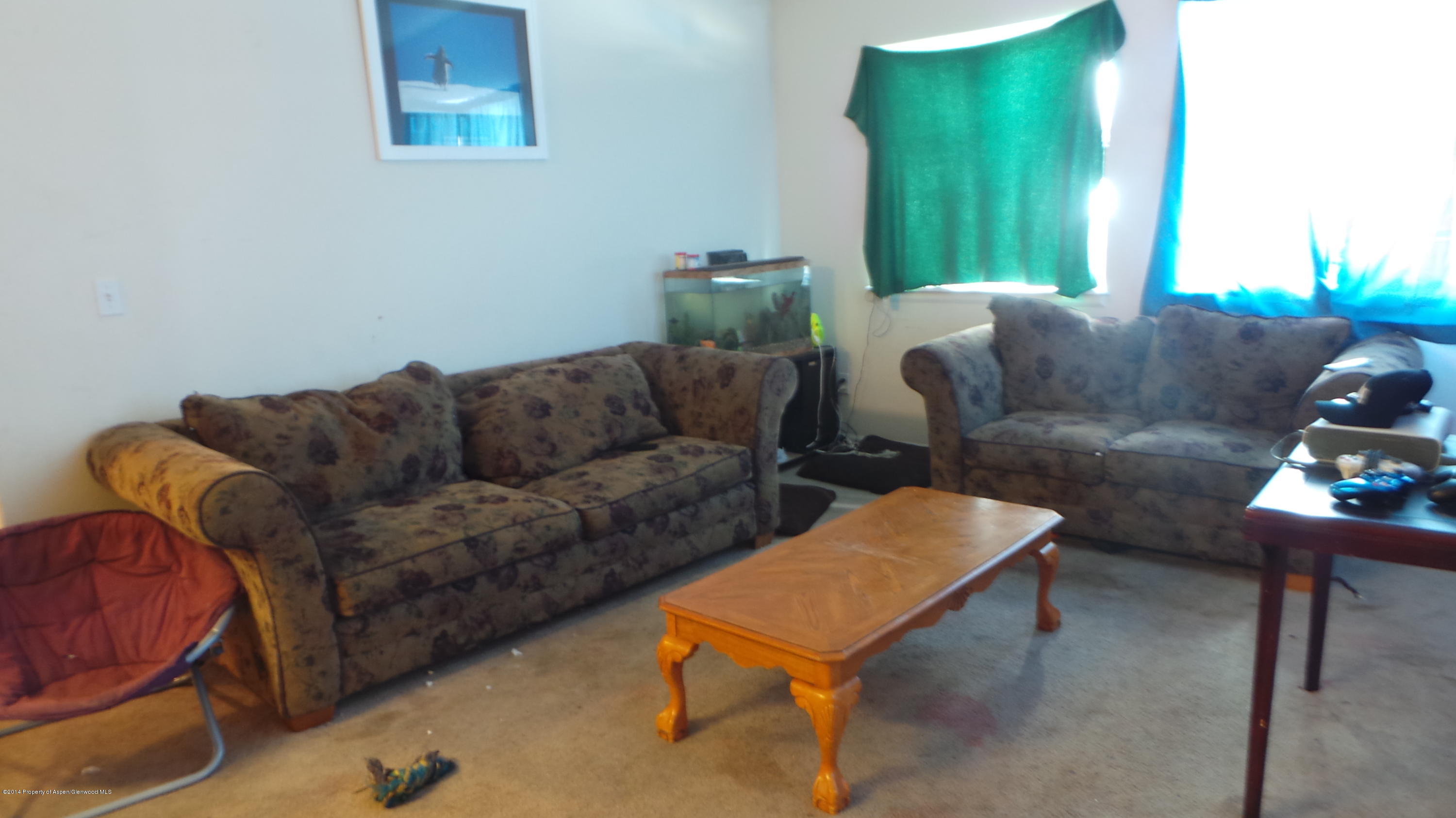 687 Bristlecone Way Silt CO 81652