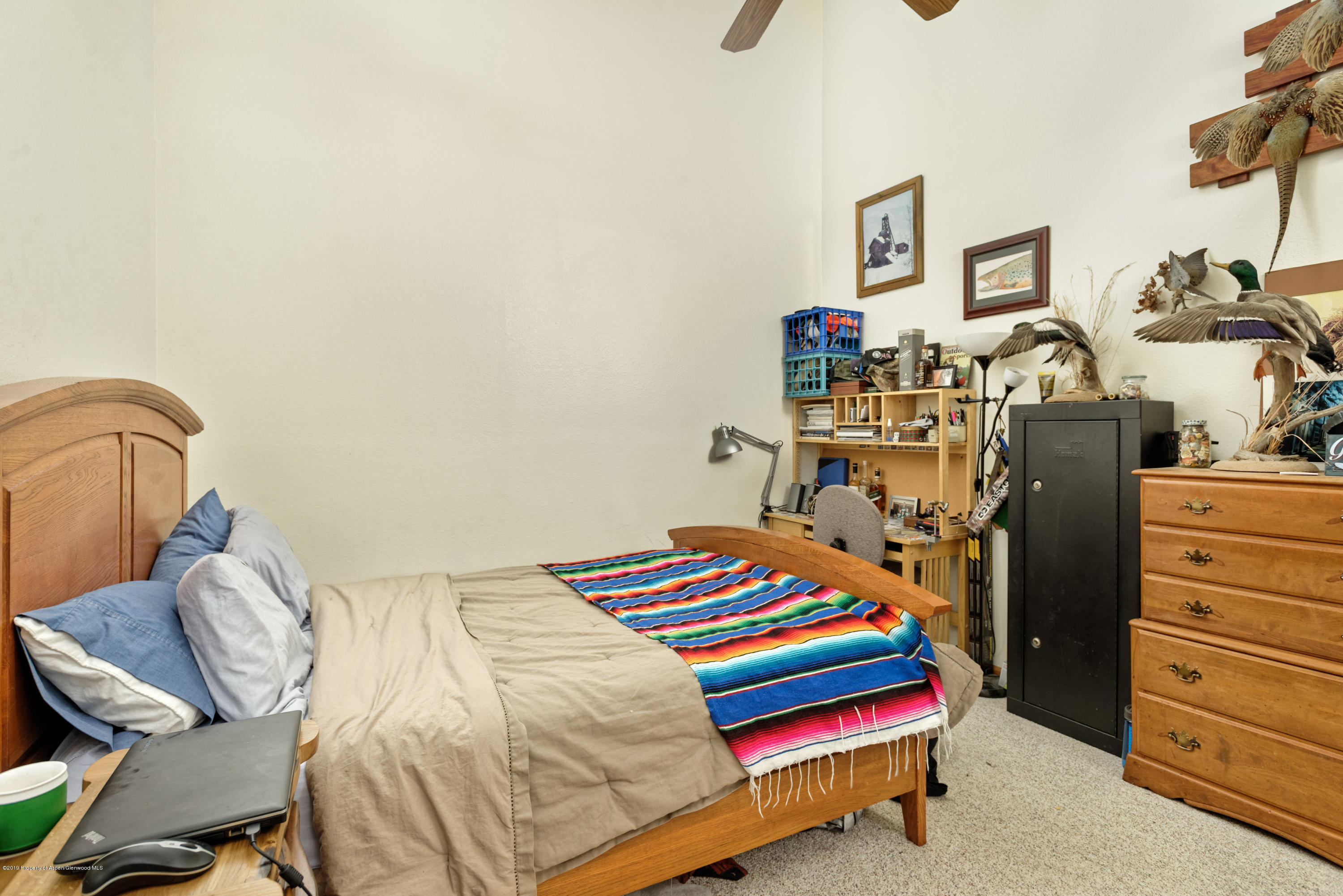 201 Dakota Meadows Drive Carbondale CO 81623