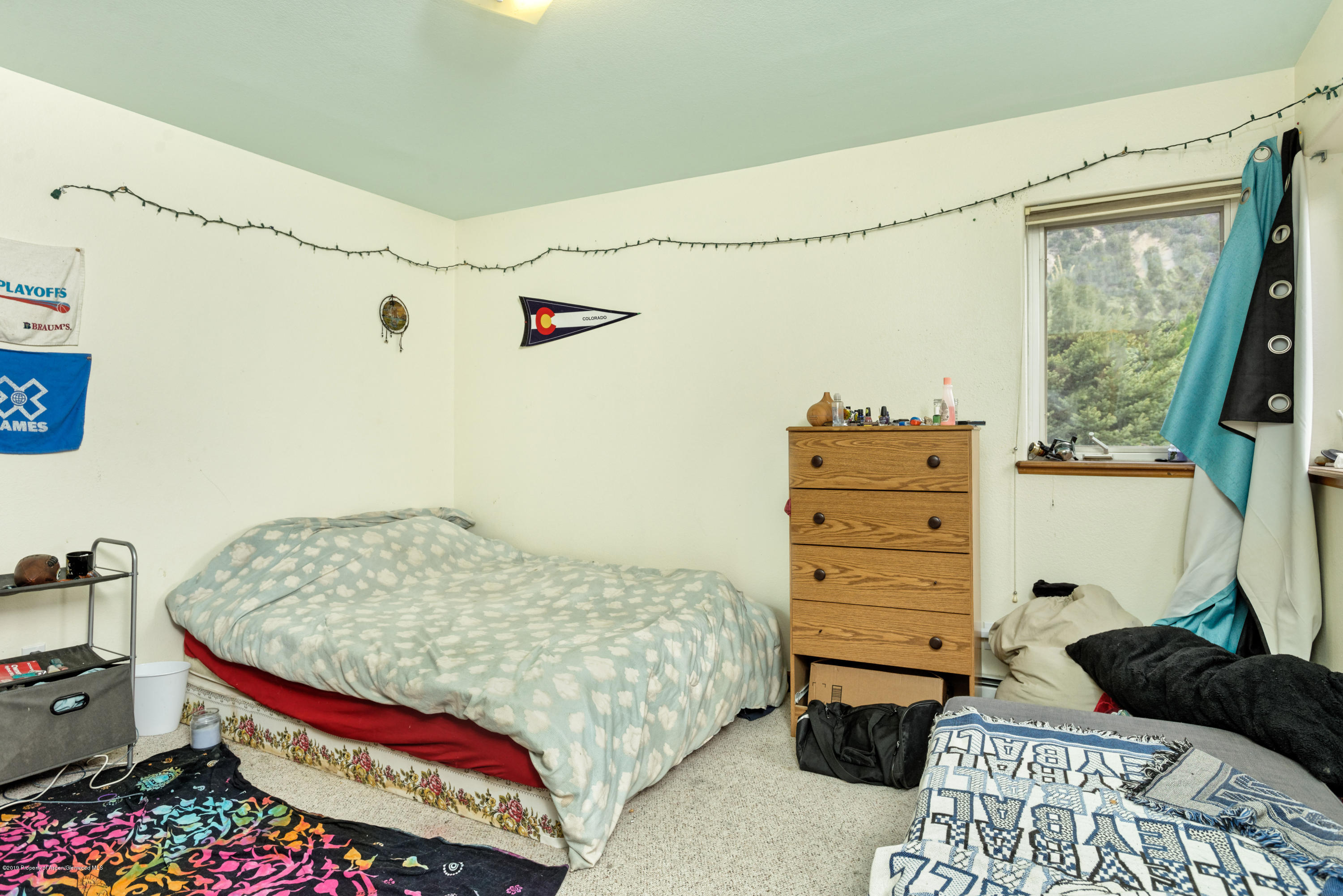 201 Dakota Meadows Drive Carbondale CO 81623